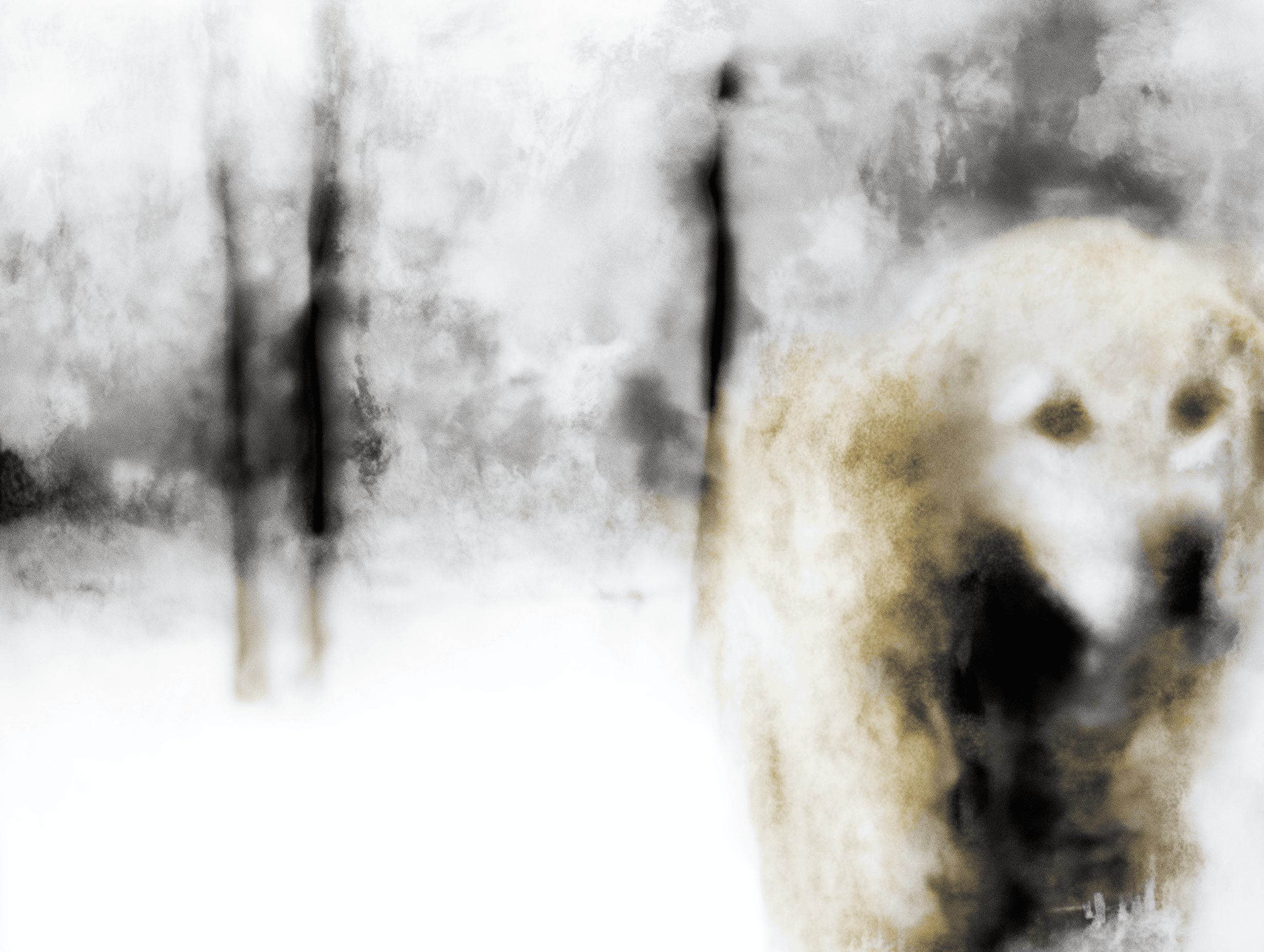 Artwork — golden retriever abstract surreal abstract painting 01
