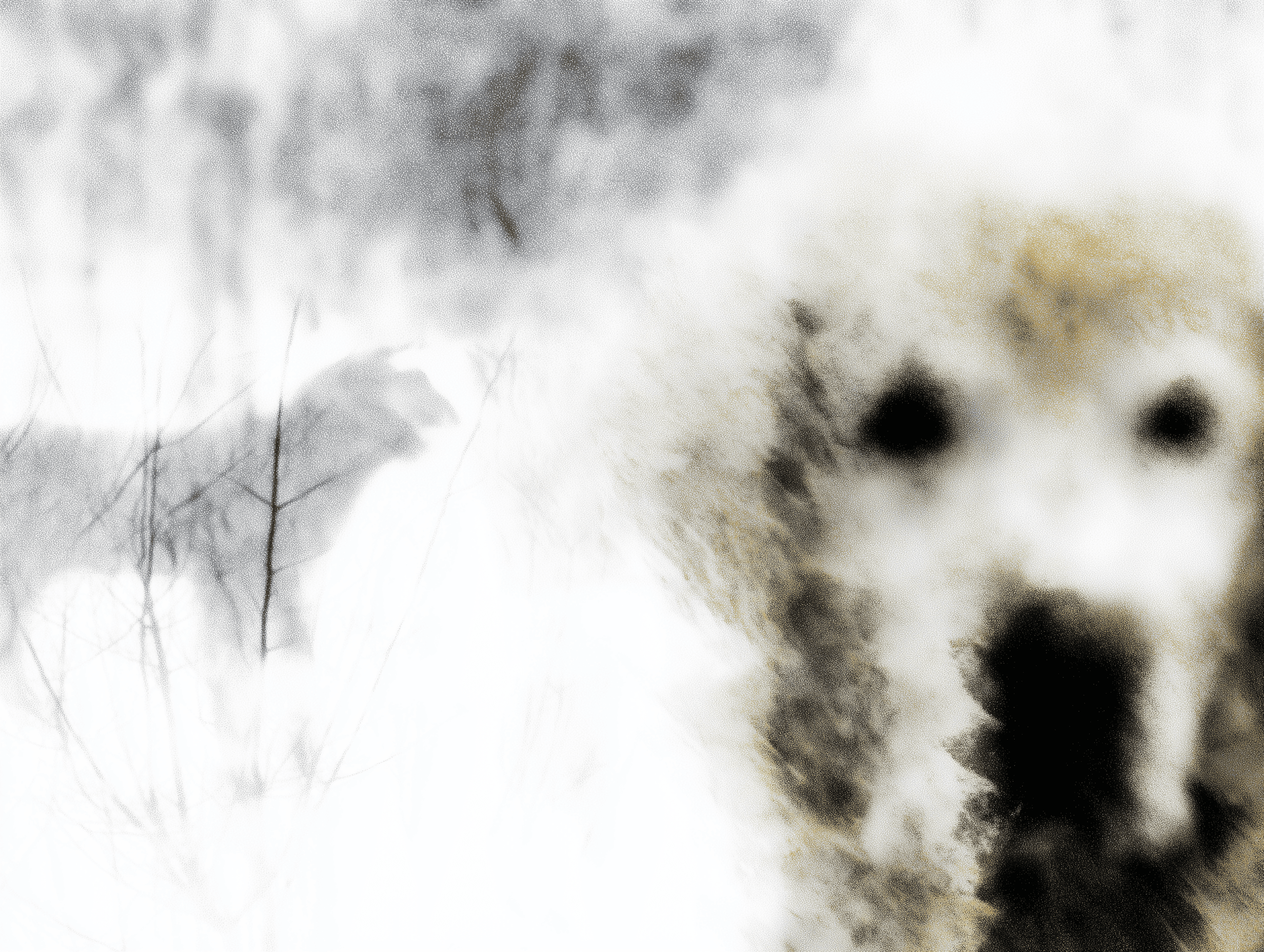 Artwork — golden retriever abstract surreal abstract painting 03