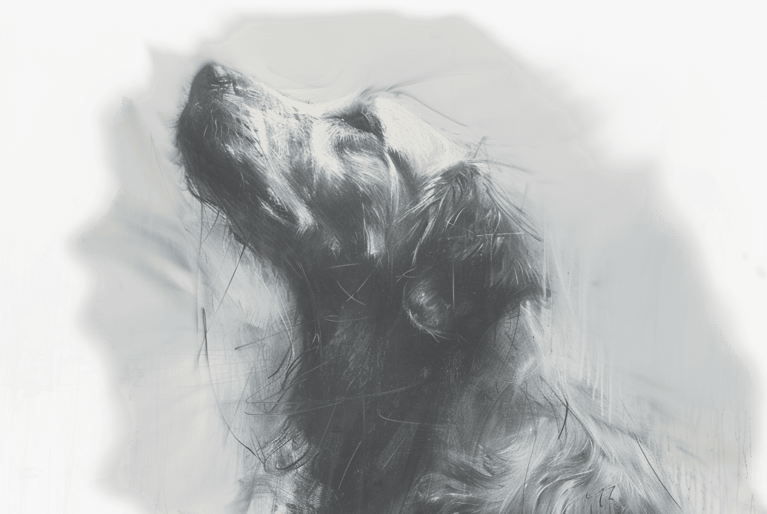 Artwork — golden retriever closeup portrait artistic ink on paper 03