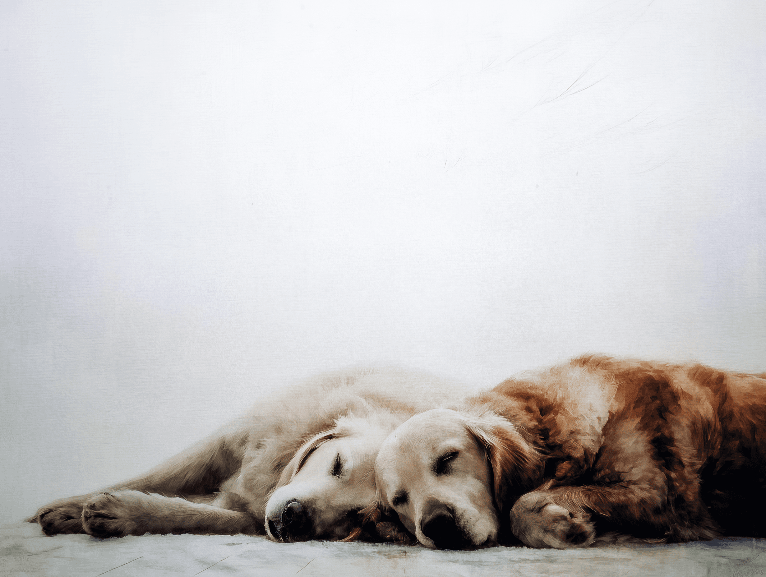 Artwork — golden retriever mentor pair peaceful watercolor 06