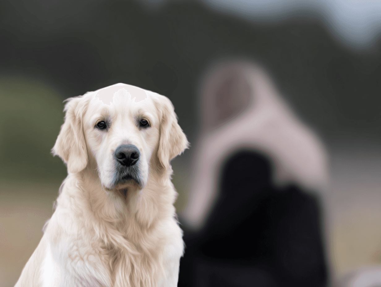 Our Dogs — black and white photo peaceful 30d0e224 27bf 4610 9d12 97c91cba1531 1