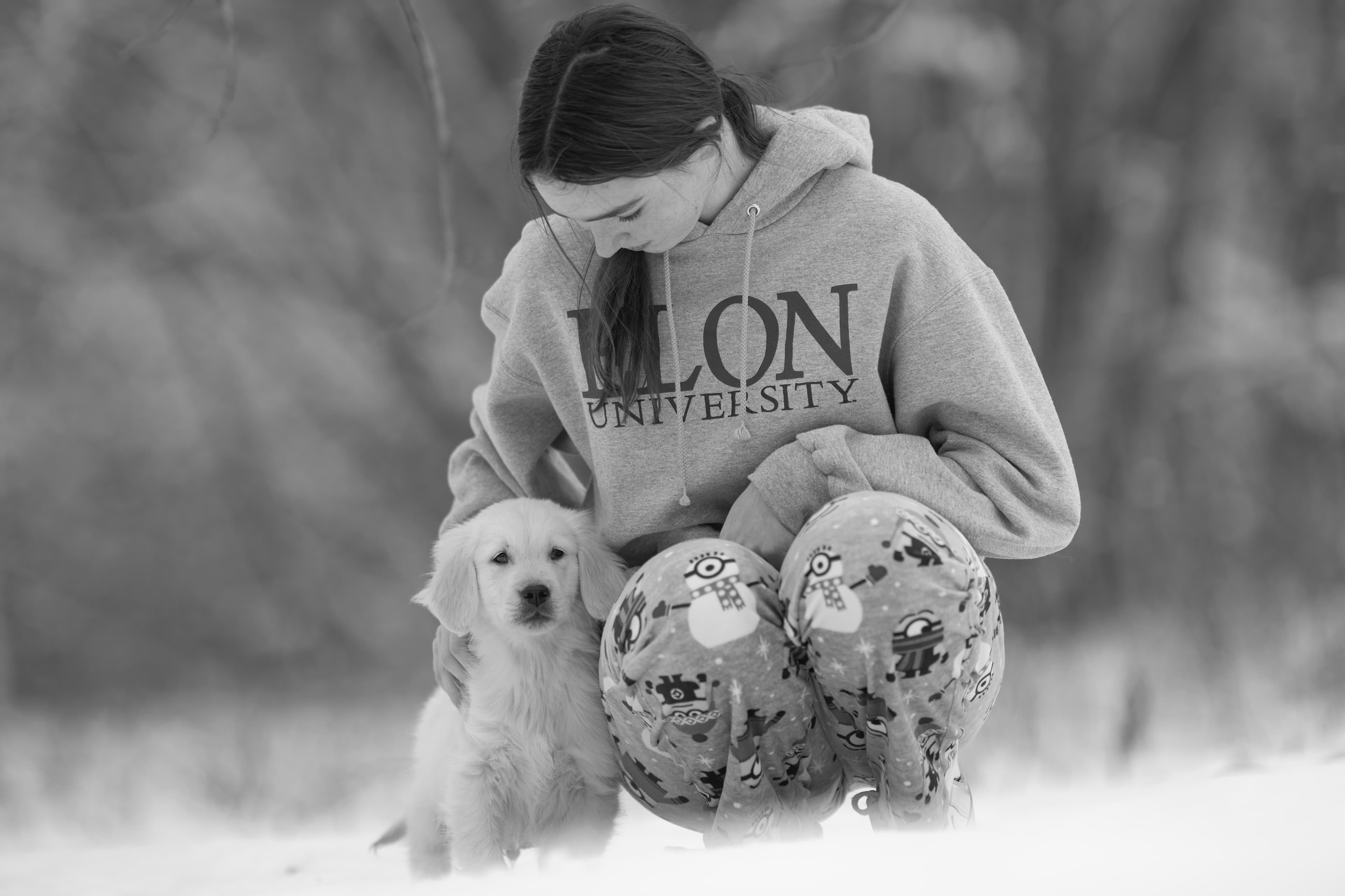 Puppies — MiaWhite176 1 f