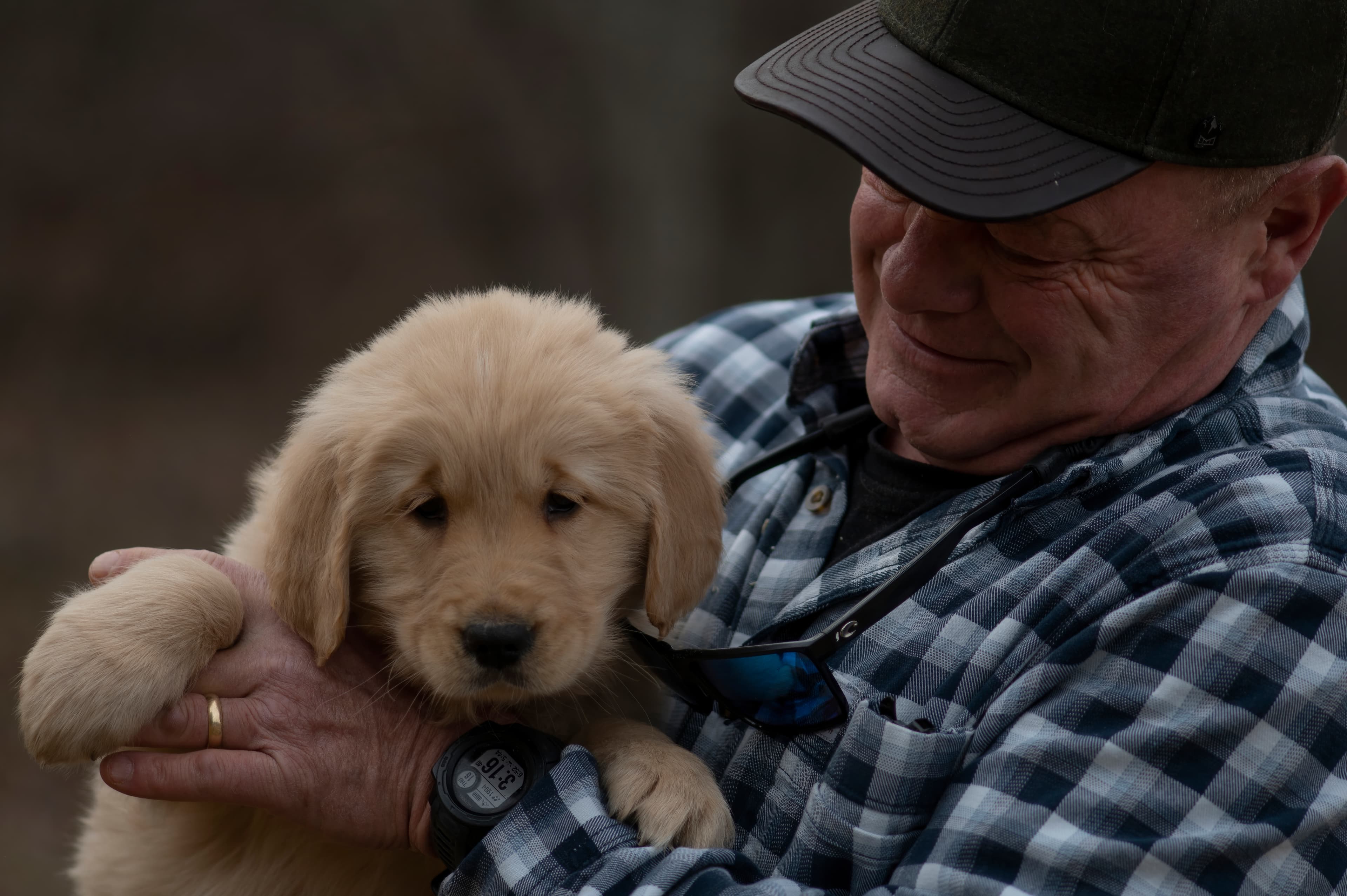 Puppies — SRitaPastor074 f