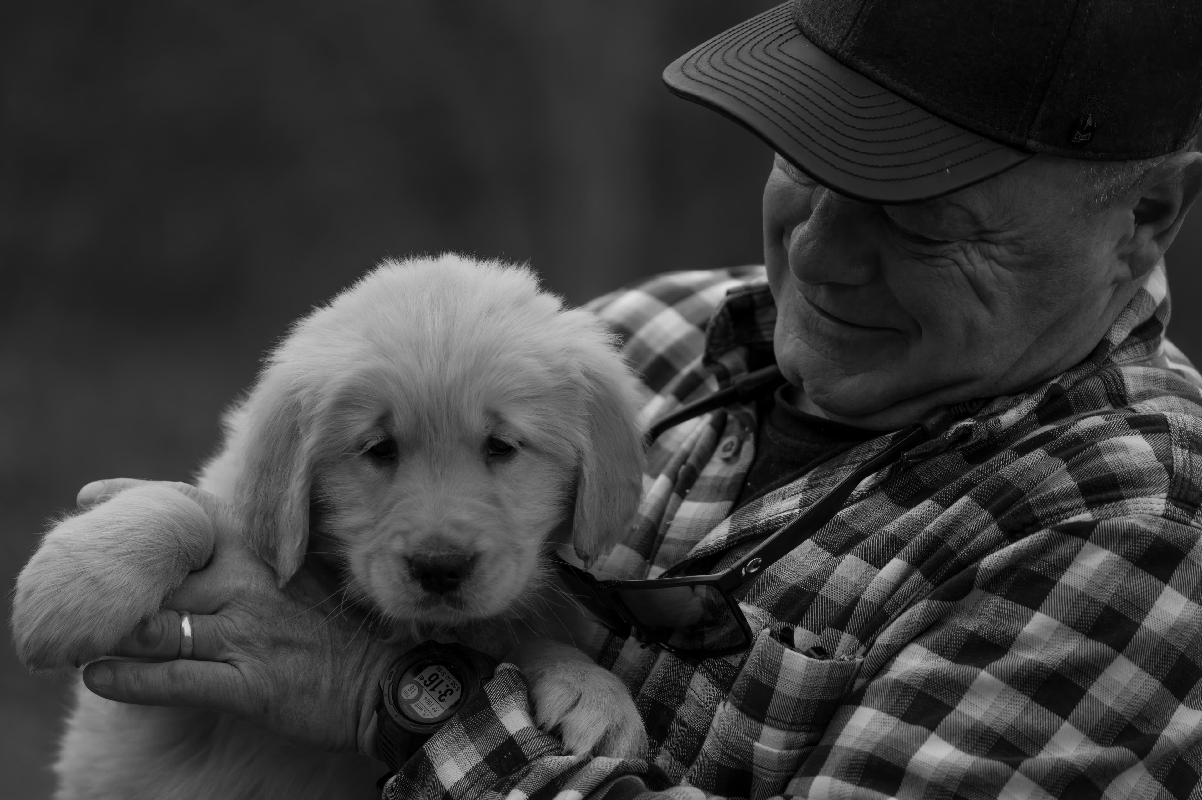 Puppies — SRitaPastor074 1 f