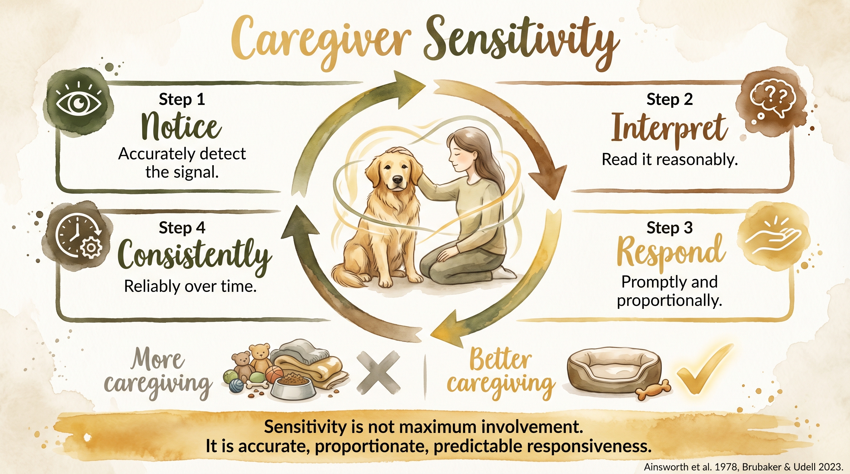 Infographic: Caregiver sensitivity predicting attachment quality through responsive interaction - Just Behaving Wiki