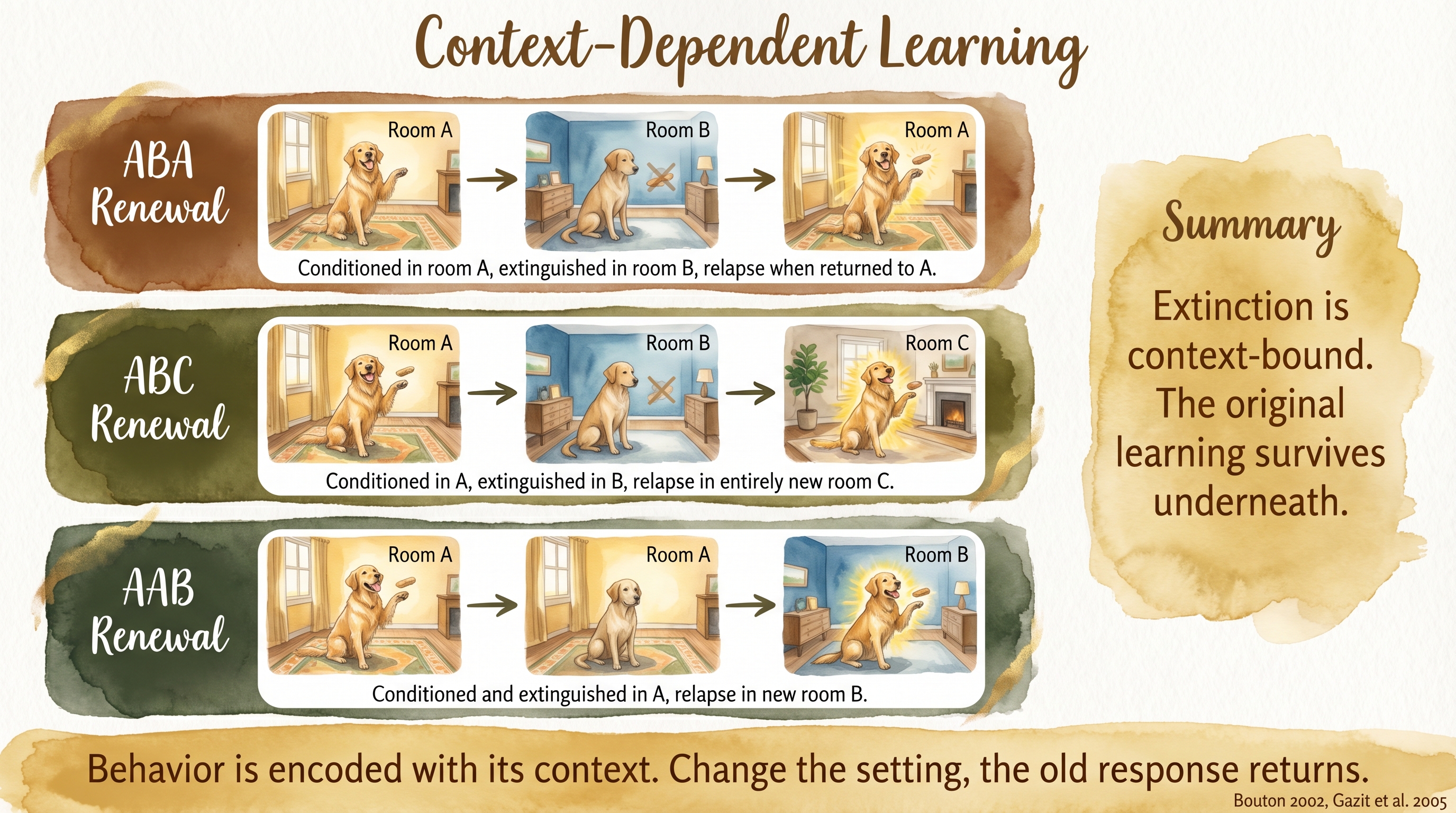Infographic: Context-dependent learning showing how environmental cues gate memory retrieval - Just Behaving Wiki