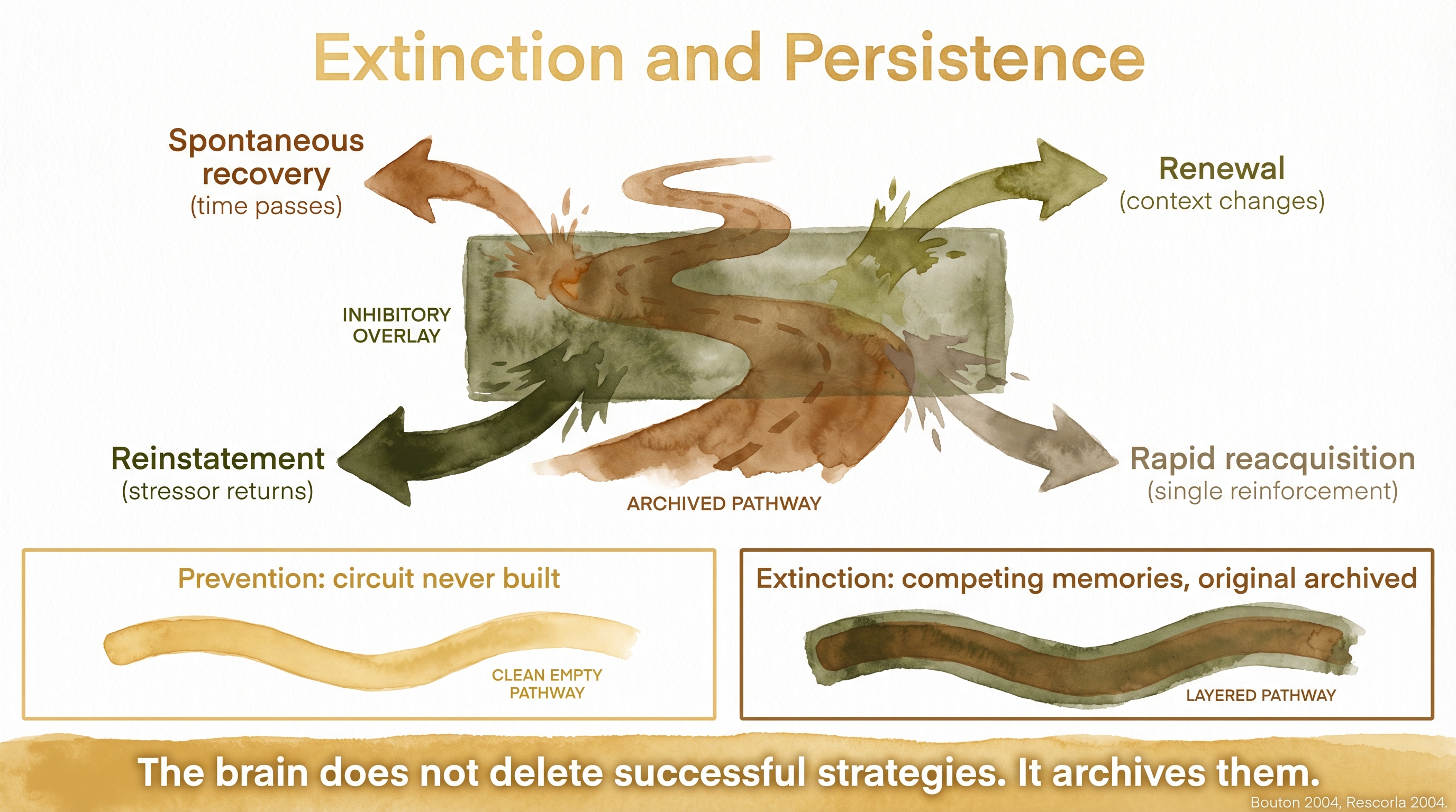 Infographic: Extinction and behavioral persistence showing why suppressed behaviors return - Just Behaving Wiki