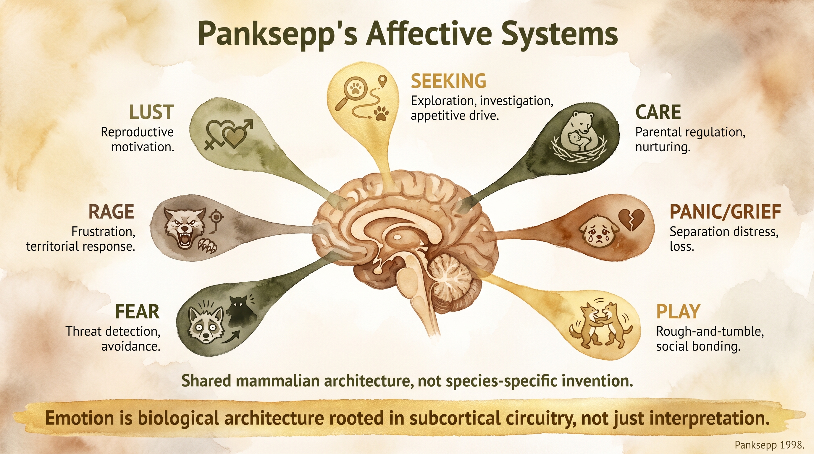 Infographic: Panksepp's seven affective systems mapped in the mammalian brain - Just Behaving Wiki
