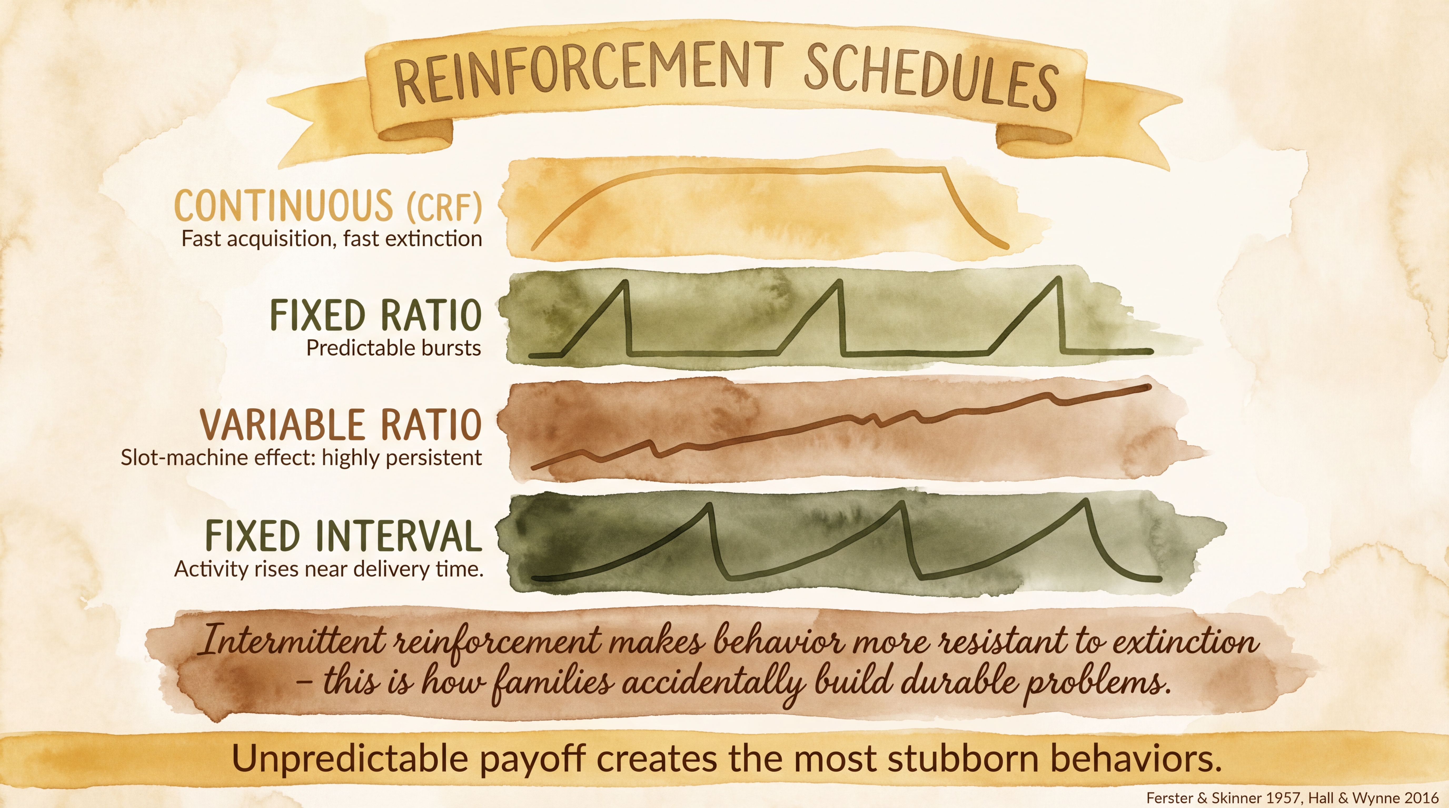 Infographic: Reinforcement schedules comparing fixed and variable ratio and interval patterns - Just Behaving Wiki