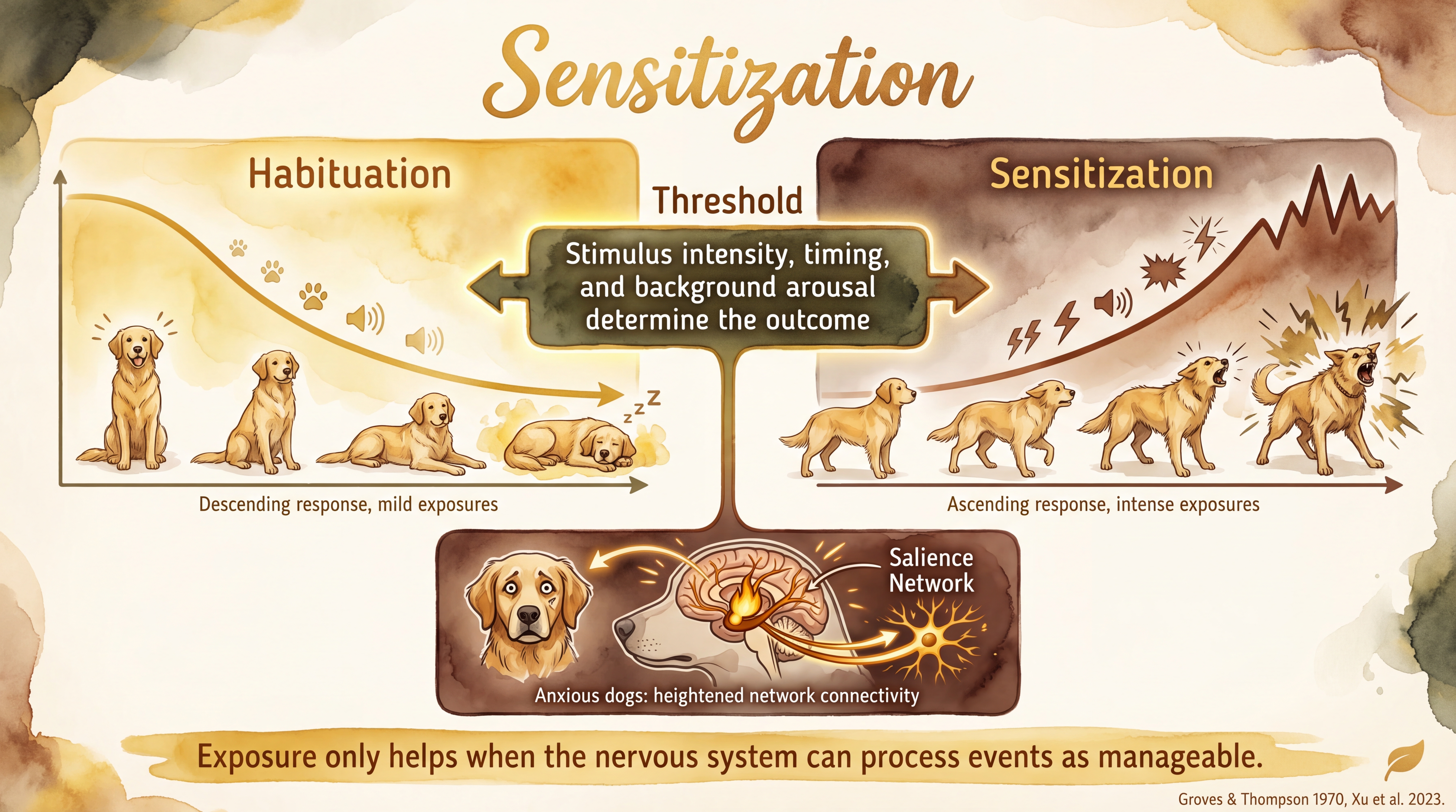 Infographic: Sensitization showing increasing response intensity to repeated aversive stimuli - Just Behaving Wiki