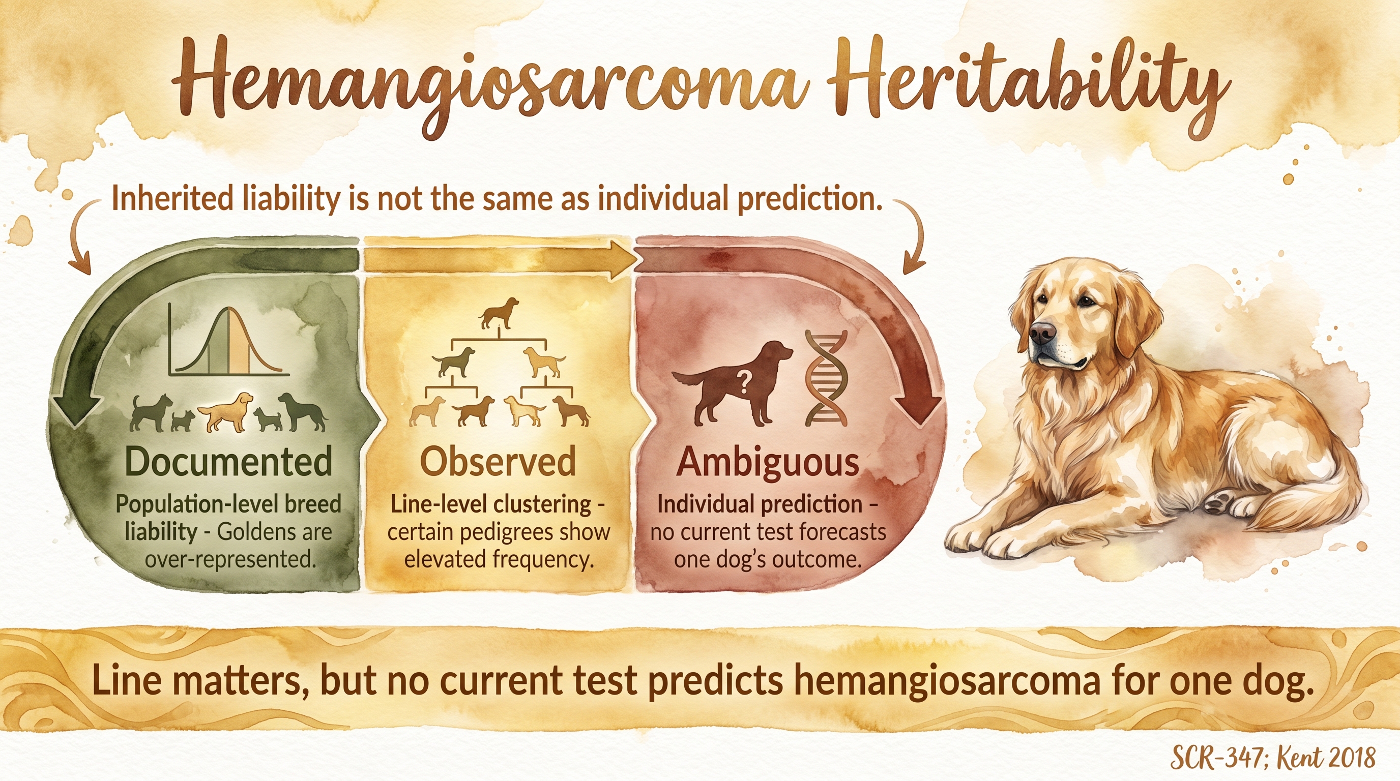 Infographic: Hemangiosarcoma heritability with three-segment confidence meter spanning population, line, and individual prediction levels - Just Behaving Wiki