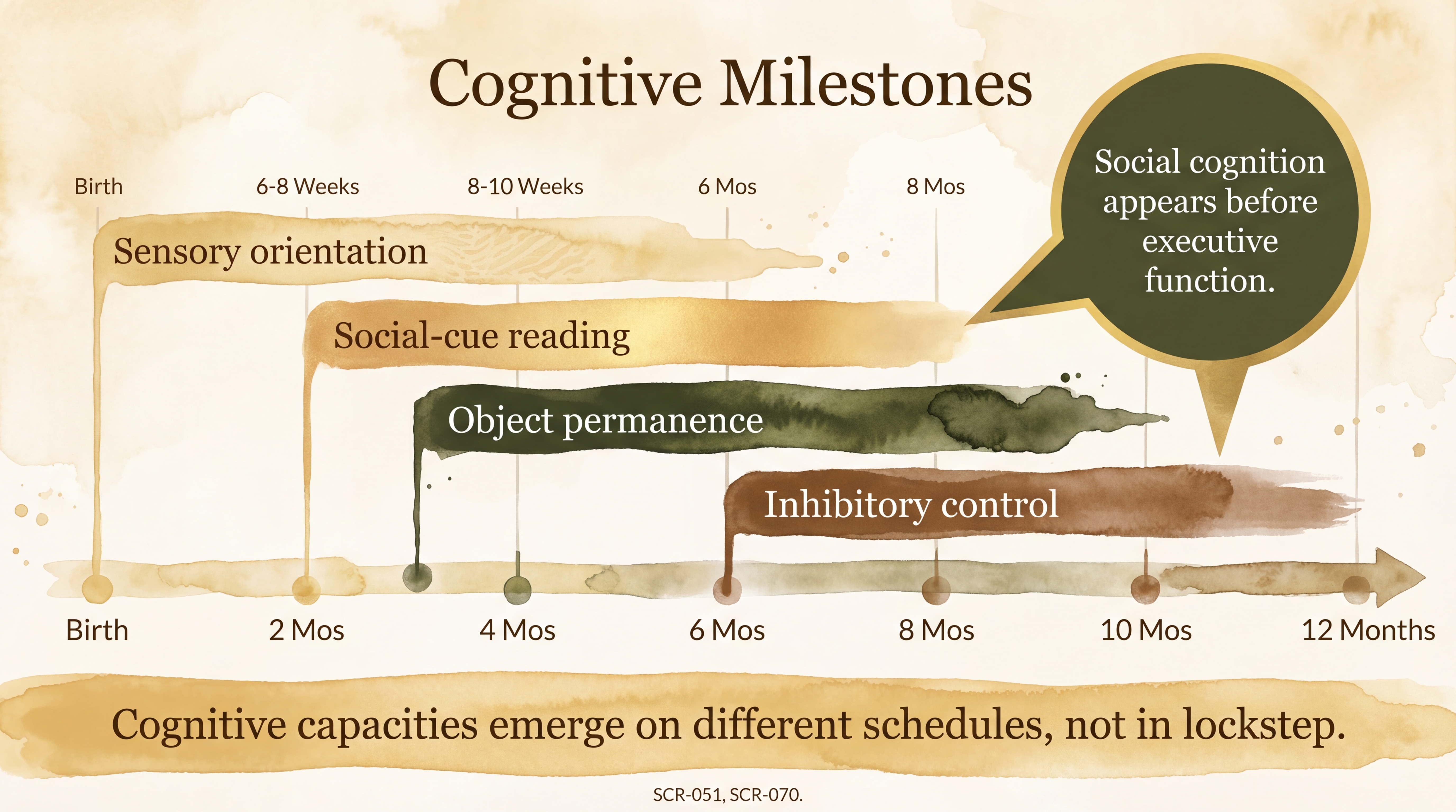 Infographic: Cognitive milestones showing staggered emergence of sensory, social, and executive capacities - Just Behaving Wiki