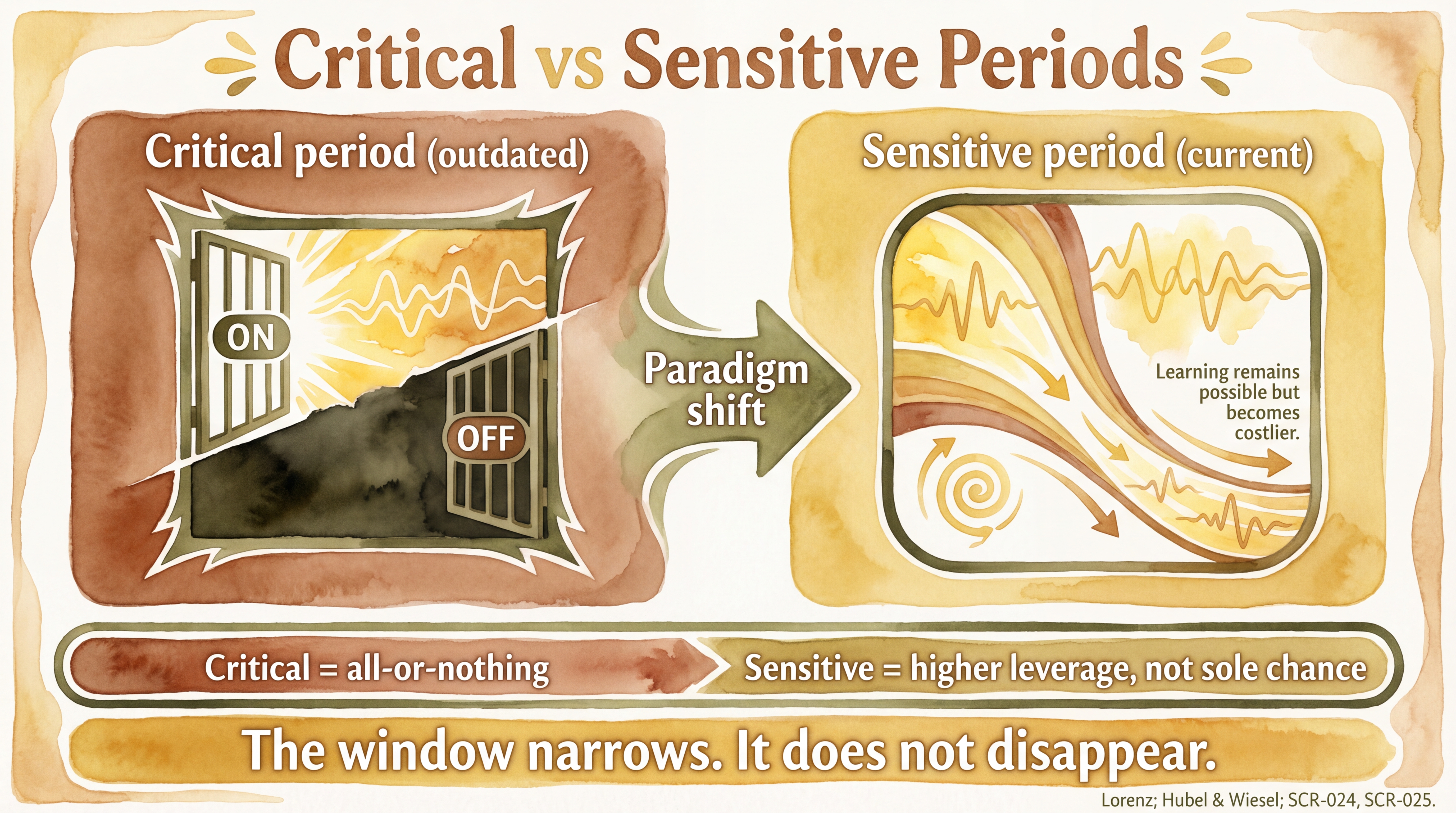 Infographic: Critical vs sensitive periods comparing binary cutoff model with gradual narrowing model - Just Behaving Wiki