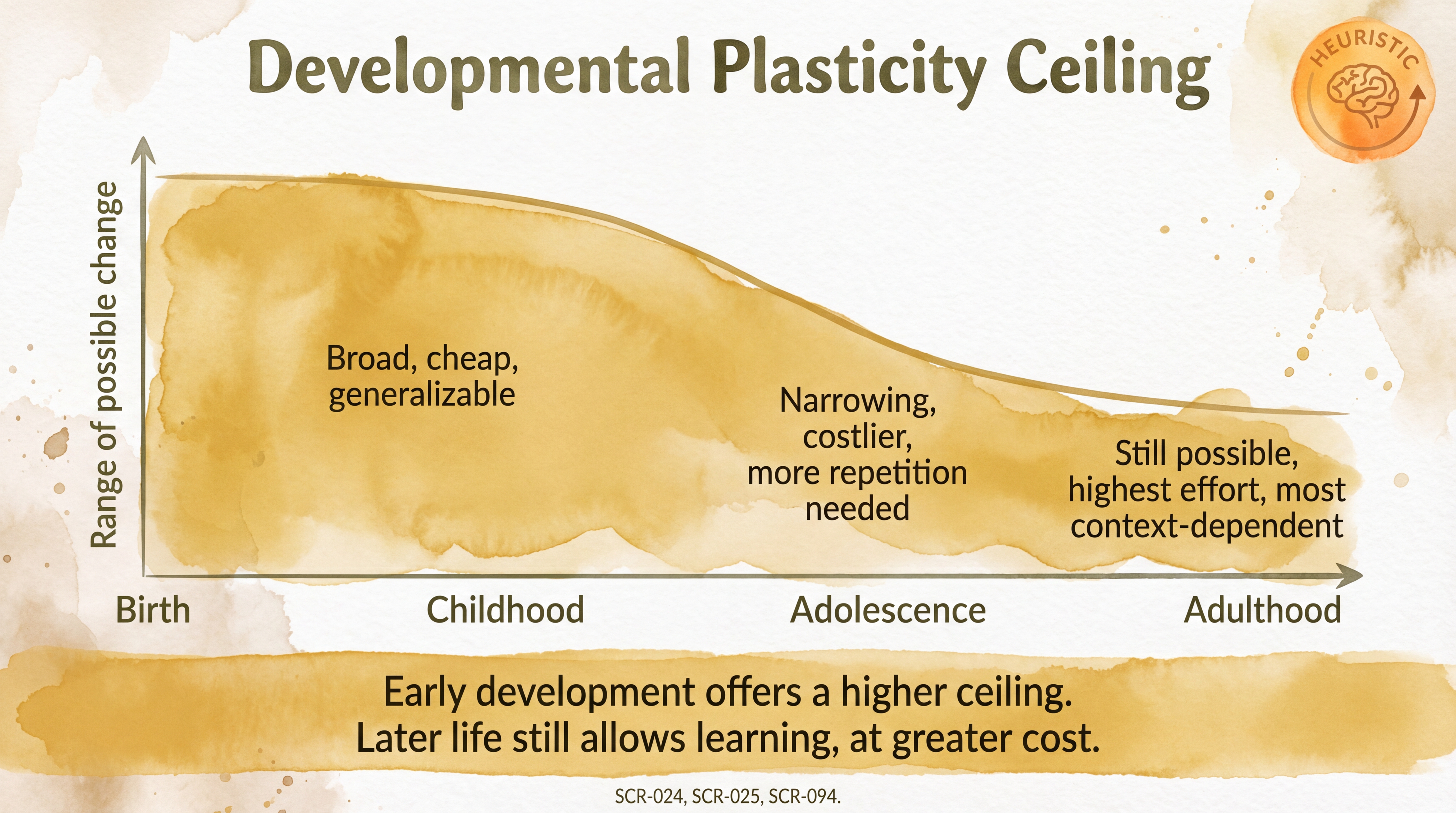 Infographic: Developmental plasticity ceiling showing narrowing range of change from birth through adulthood - Just Behaving Wiki