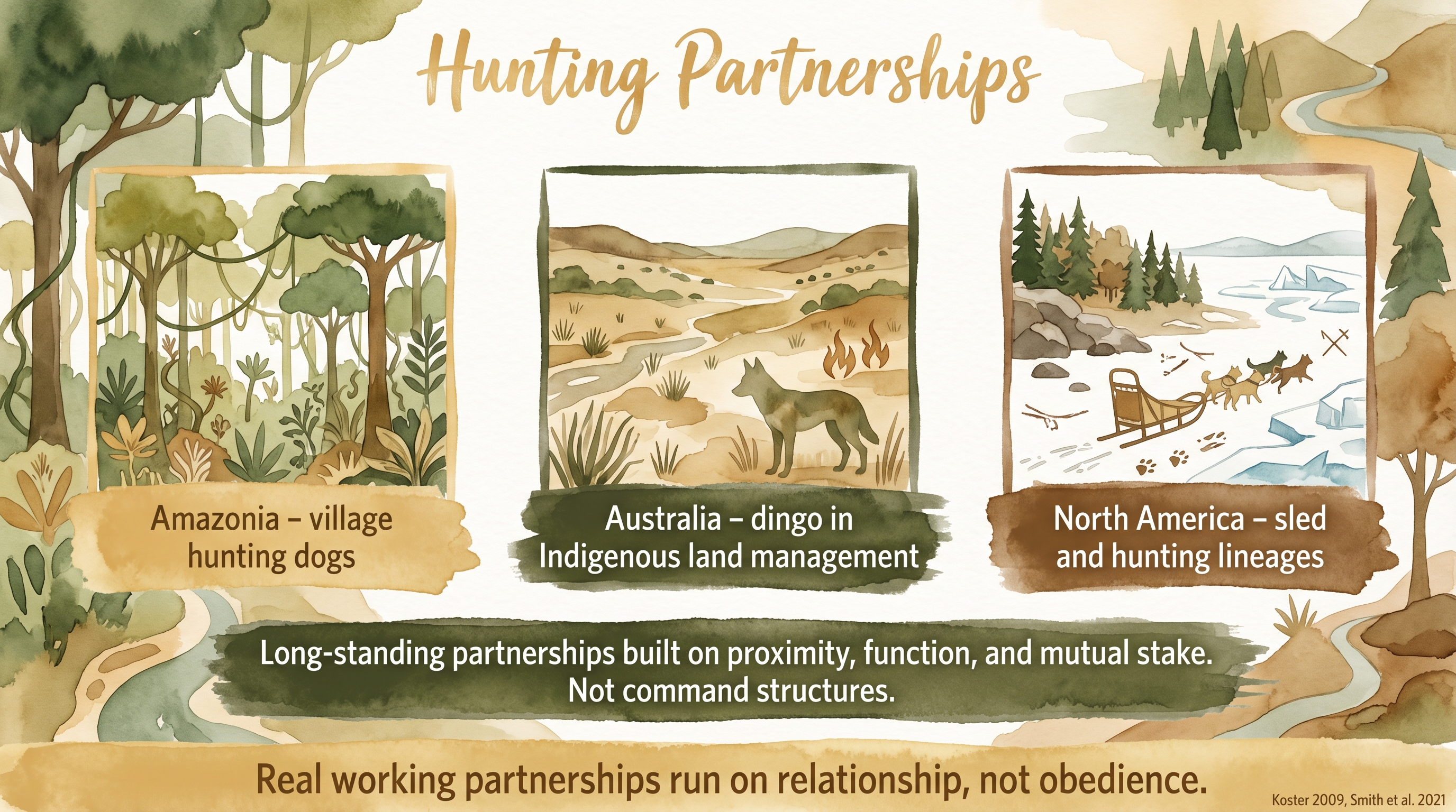 Infographic: Indigenous hunting partnerships - Amazonian, Australian, and North American traditions built on proximity and mutual stake, not command structures - Just Behaving Wiki