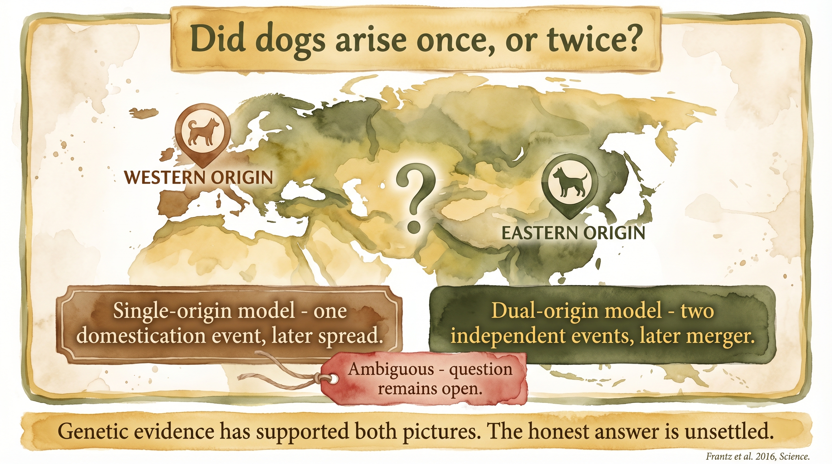 Infographic: Single vs multiple origin debate - genetic evidence supporting both single-event and dual-event models of dog domestication - Just Behaving Wiki