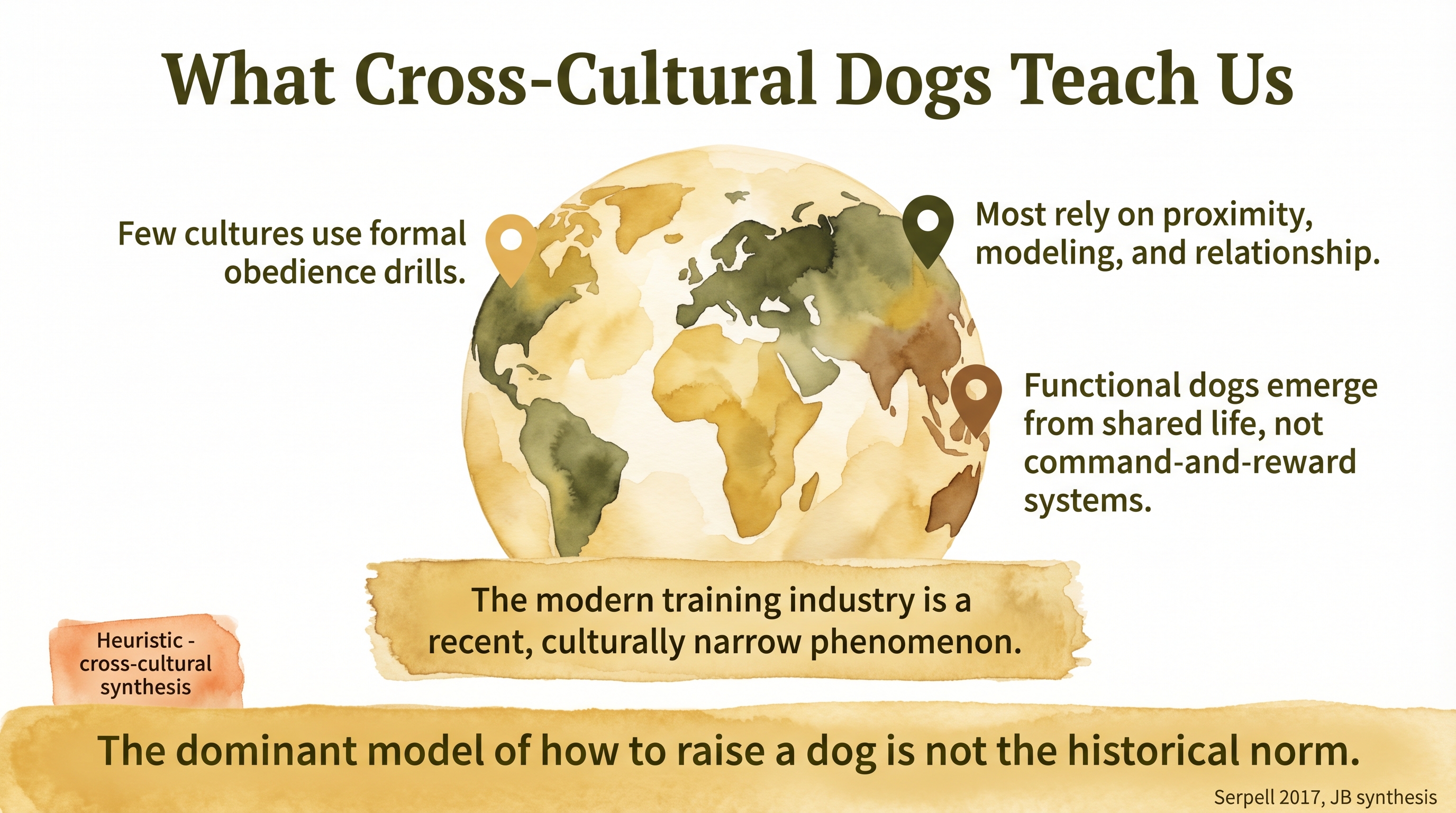 Infographic: What cross-cultural evidence tells us about training - most cultures raise functional dogs through proximity, modeling, and relationship, not obedience drills - Just Behaving Wiki