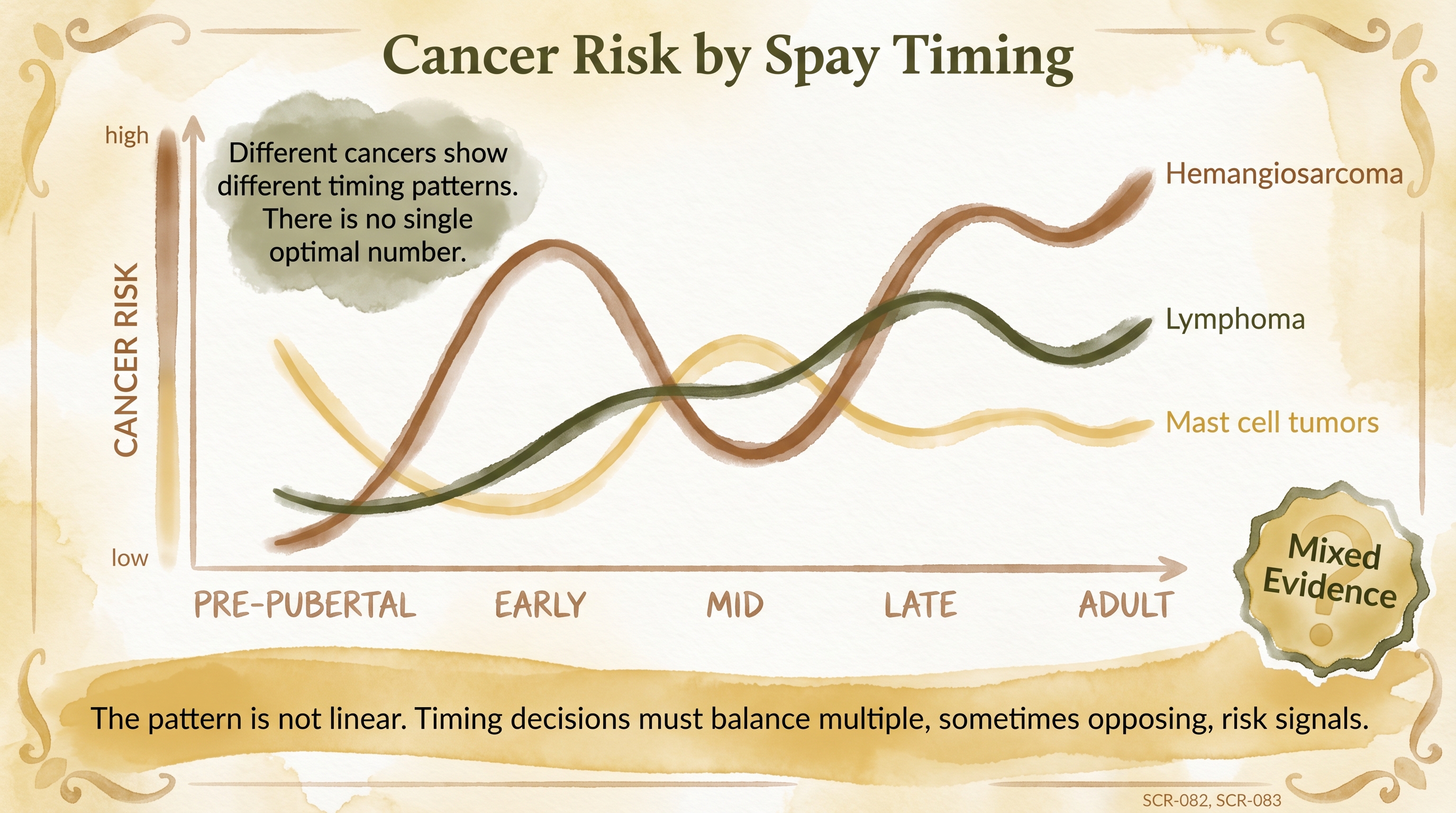 Infographic: Cancer risk by spay timing showing non-linear multi-cancer risk curves - Just Behaving Wiki