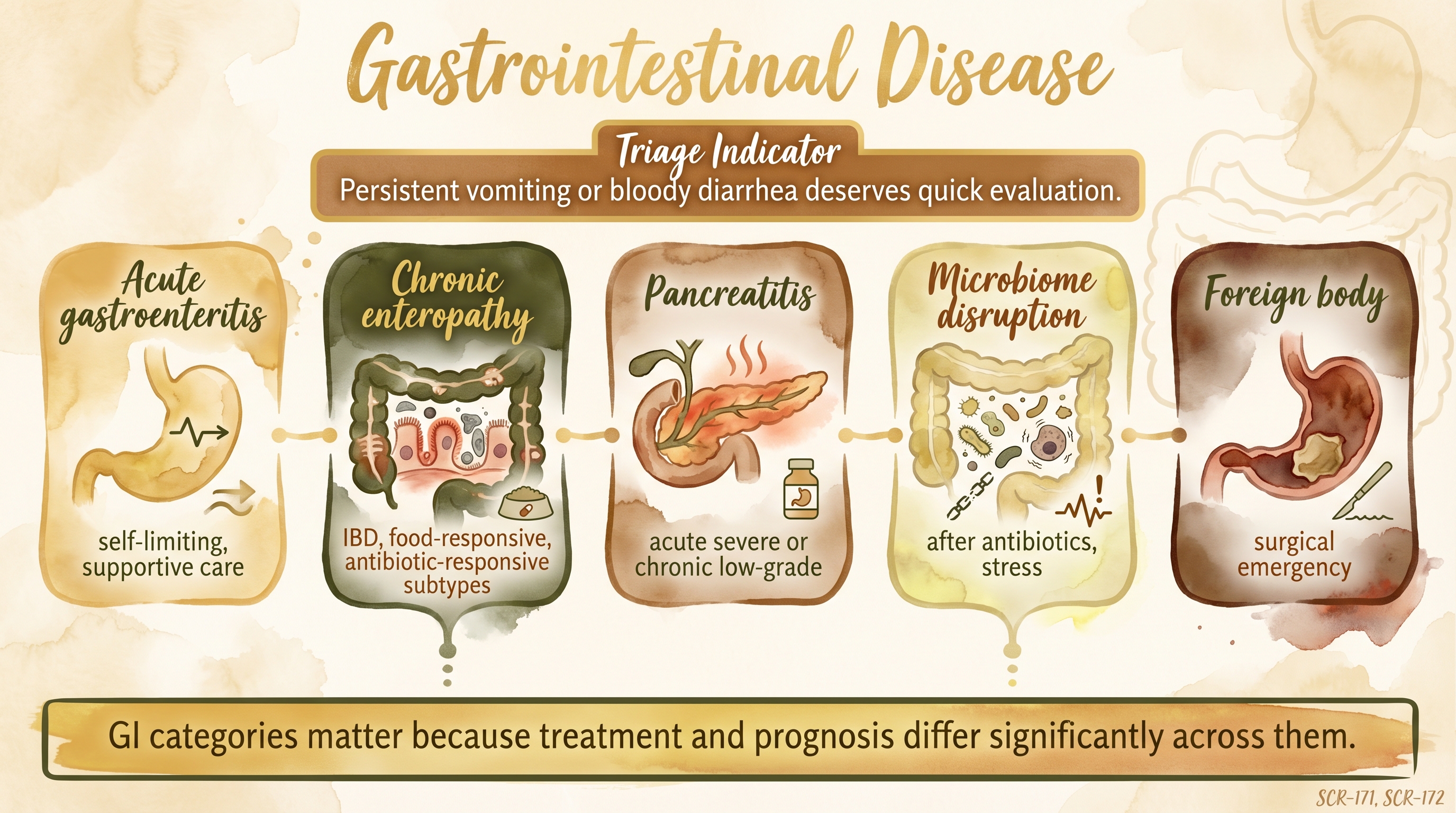 Infographic: Gastrointestinal disease showing five categories from acute gastroenteritis to foreign body - Just Behaving Wiki
