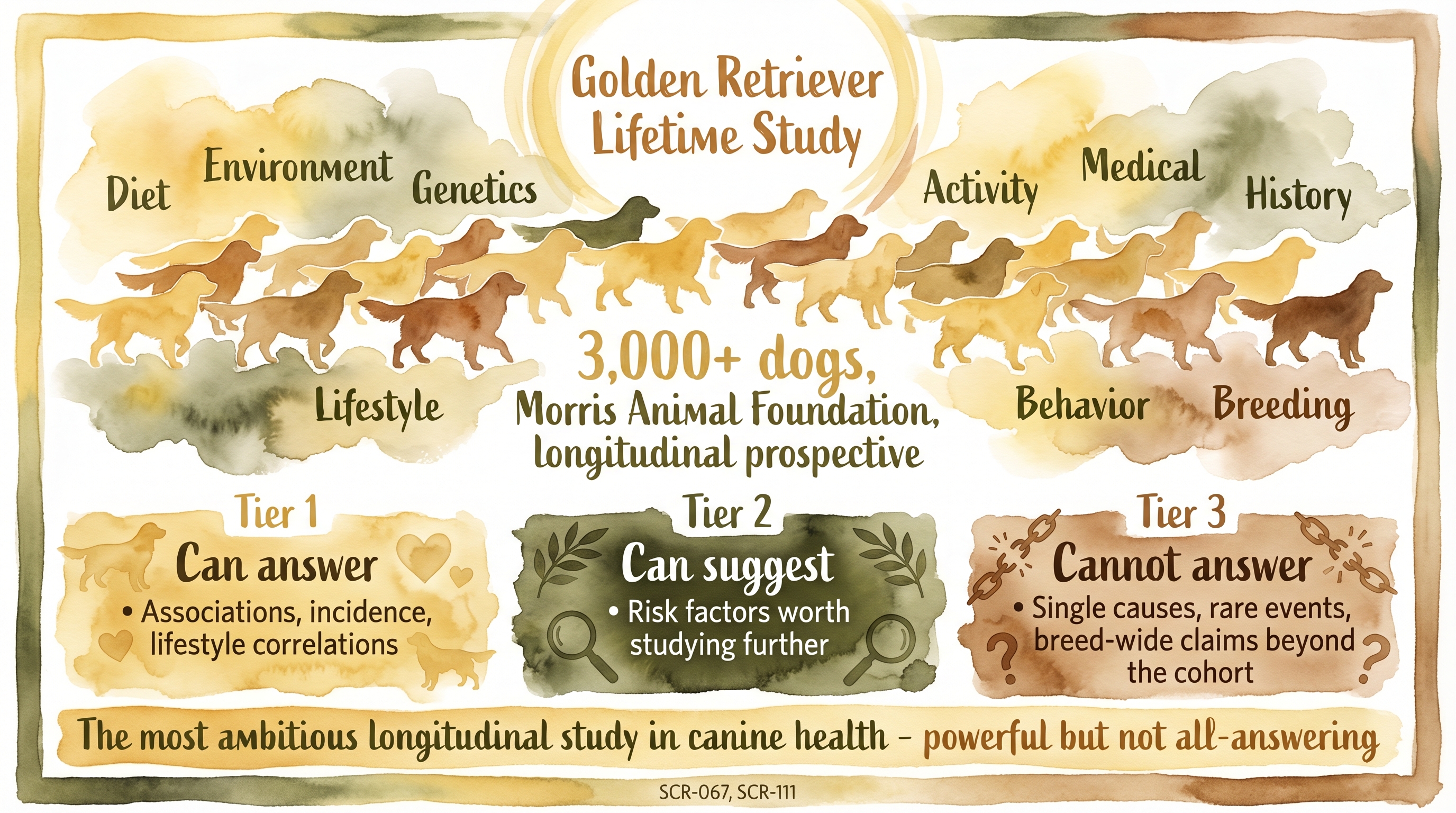 Infographic: Golden Retriever Lifetime Study showing 3000+ dog cohort with three capability tiers - Just Behaving Wiki