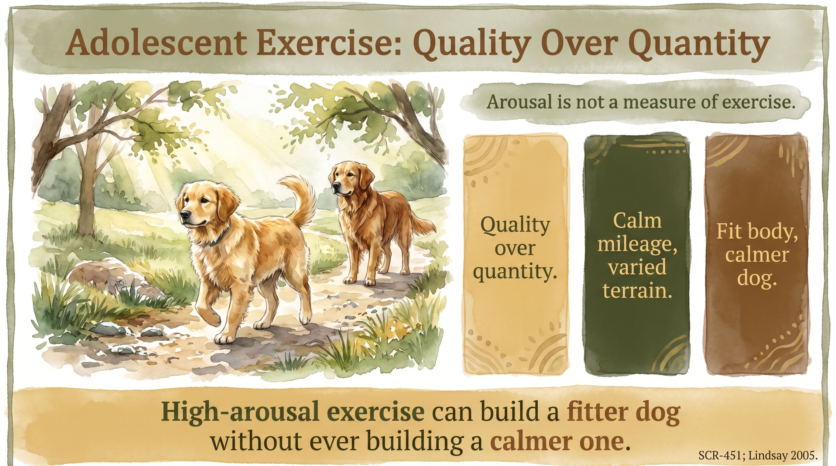 Infographic: Adolescent Exercise: Quality Over Quantity - why JB favors calm - Just Behaving Wiki