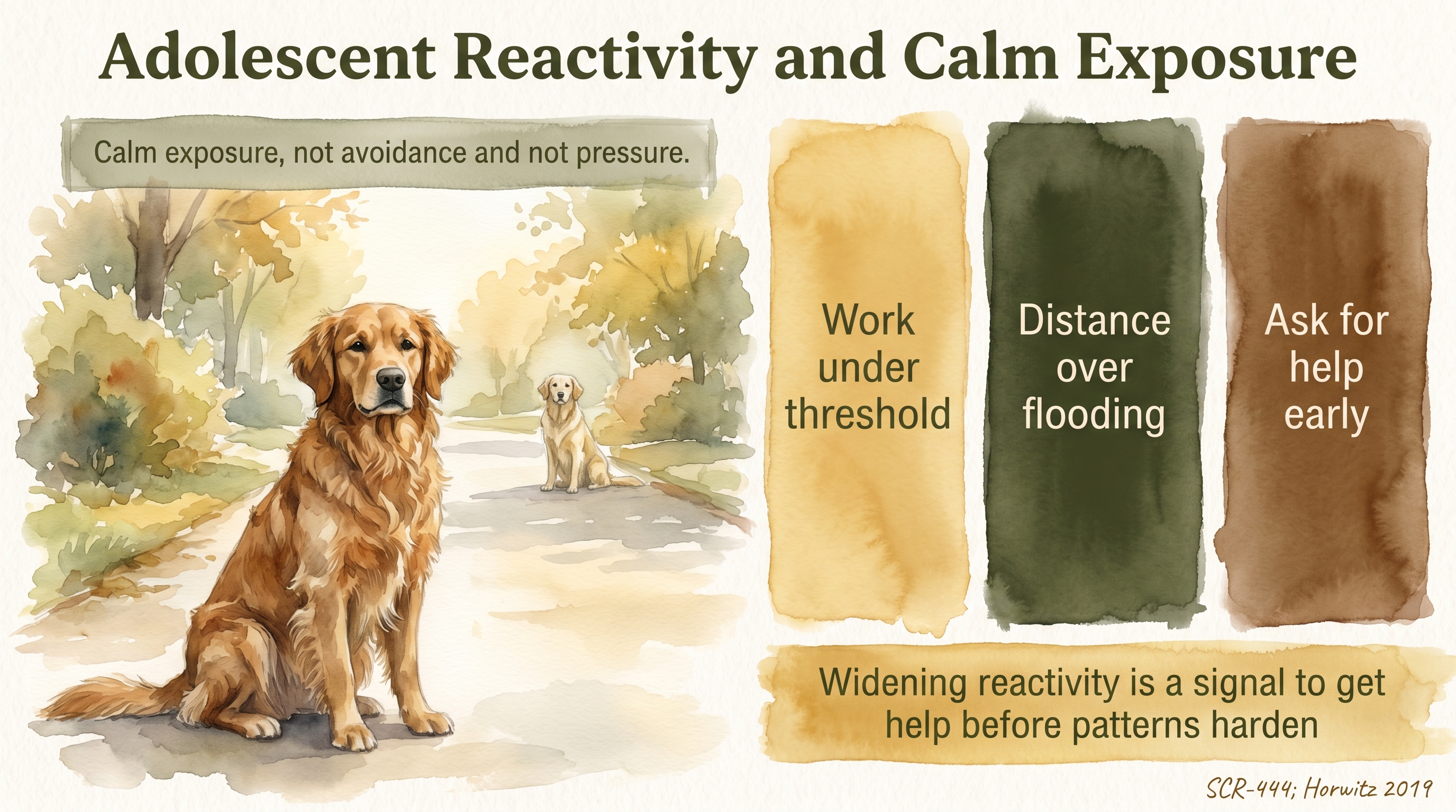 Infographic: Adolescent Reactivity and Calm Exposure - how JB reads leash reactivity and trigger - Just Behaving Wiki