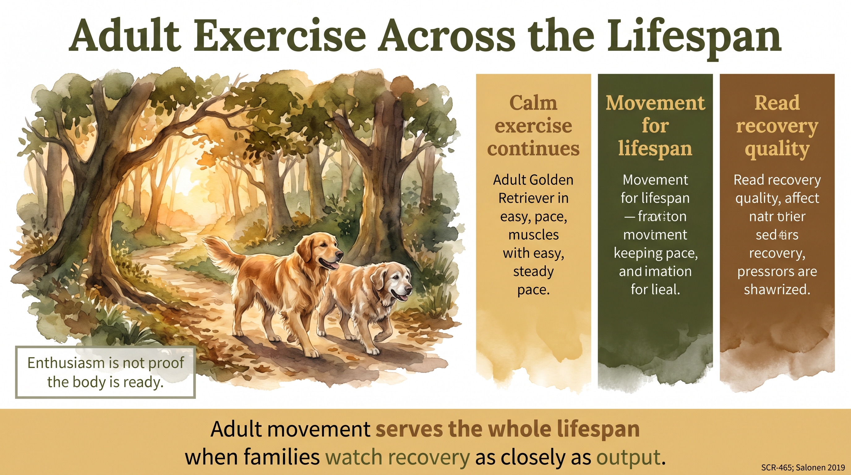 Infographic: Adult Exercise Across the Lifespan - how exercise should evolve from settled adulthood - Just Behaving Wiki