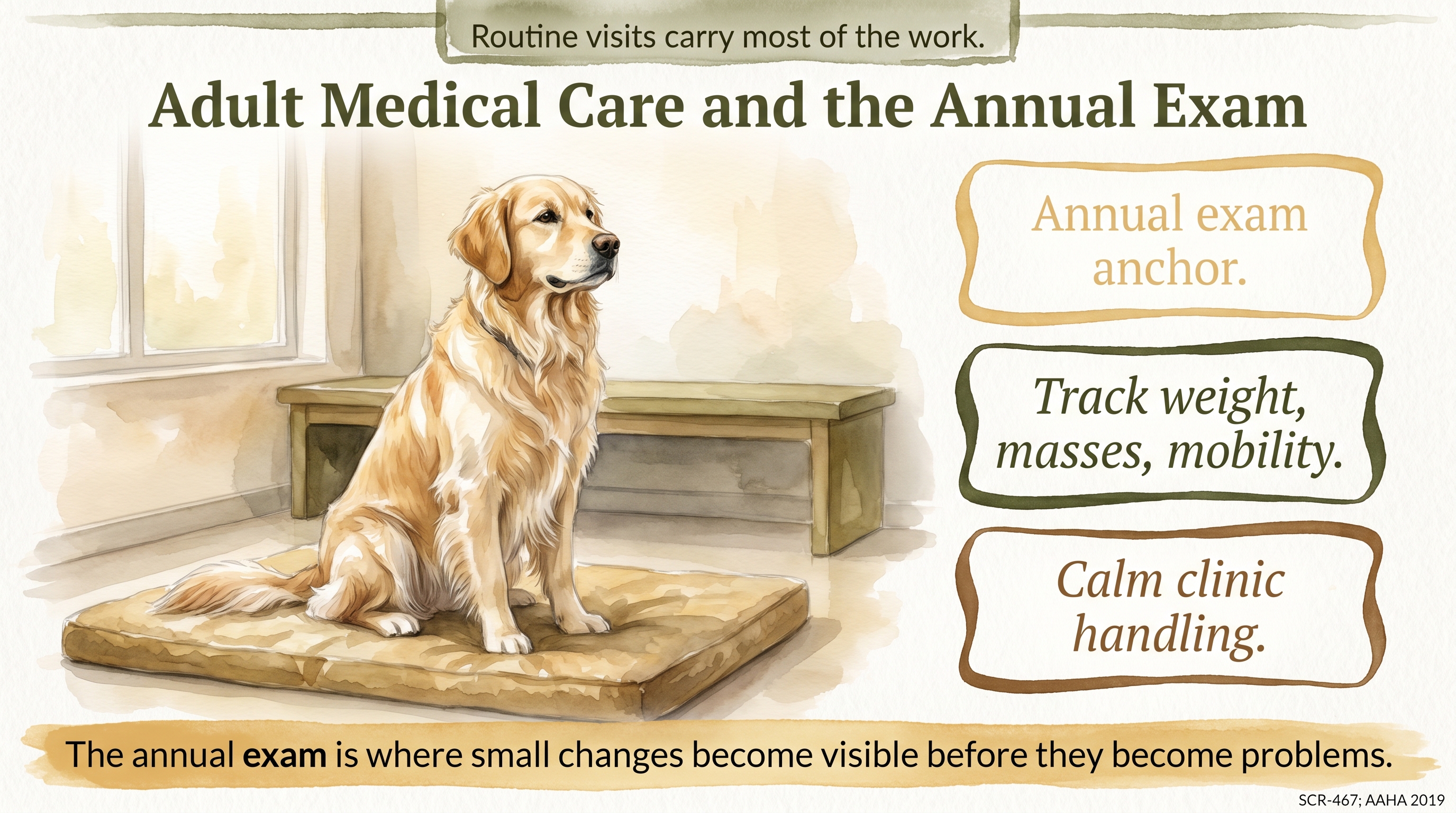 Infographic: Adult Medical Care and the Annual Exam - why the annual exam anchors adult Golden - Just Behaving Wiki