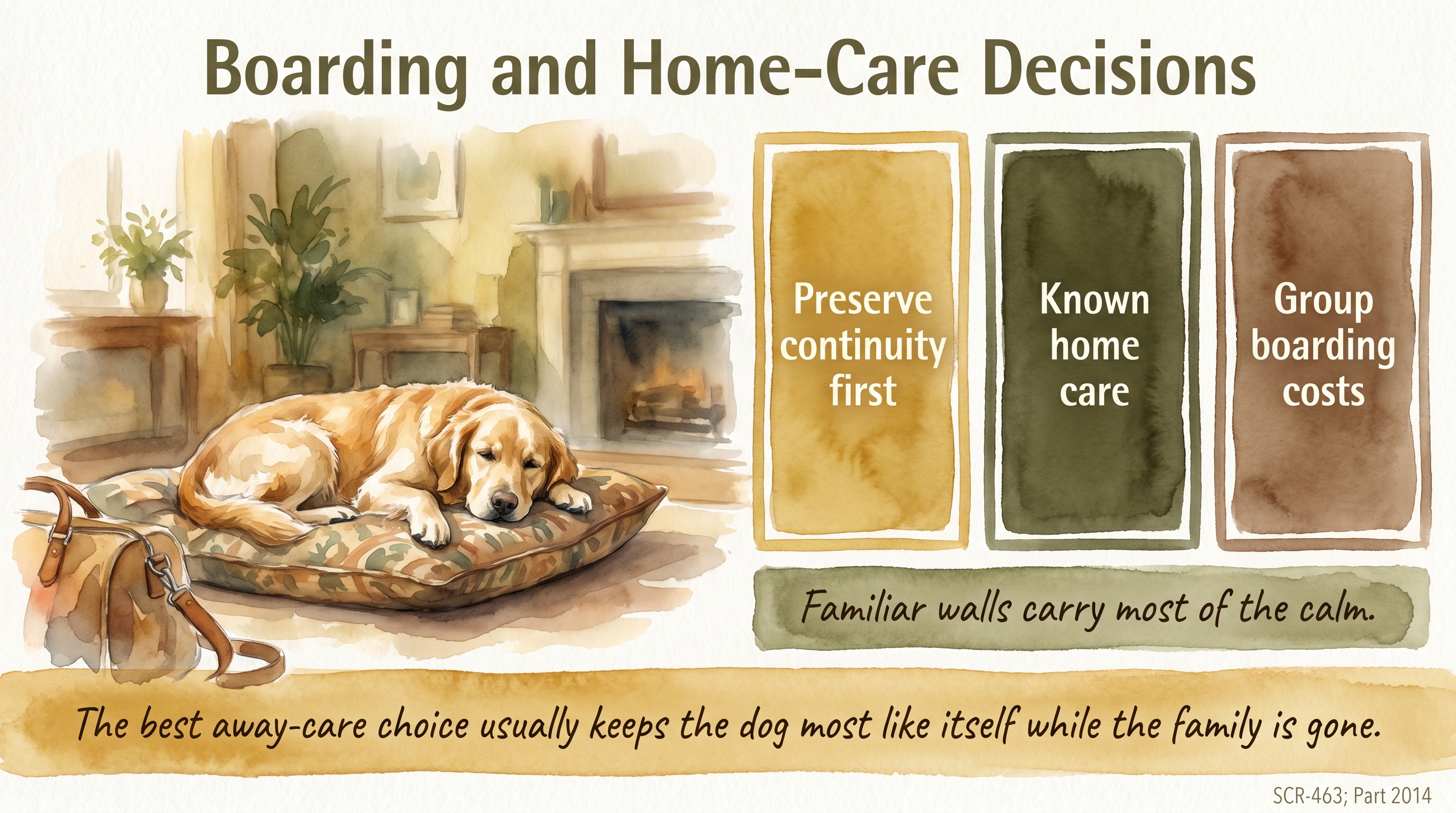 Infographic: Boarding and Home-Care Decisions - how JB thinks about sitters, home care - Just Behaving Wiki