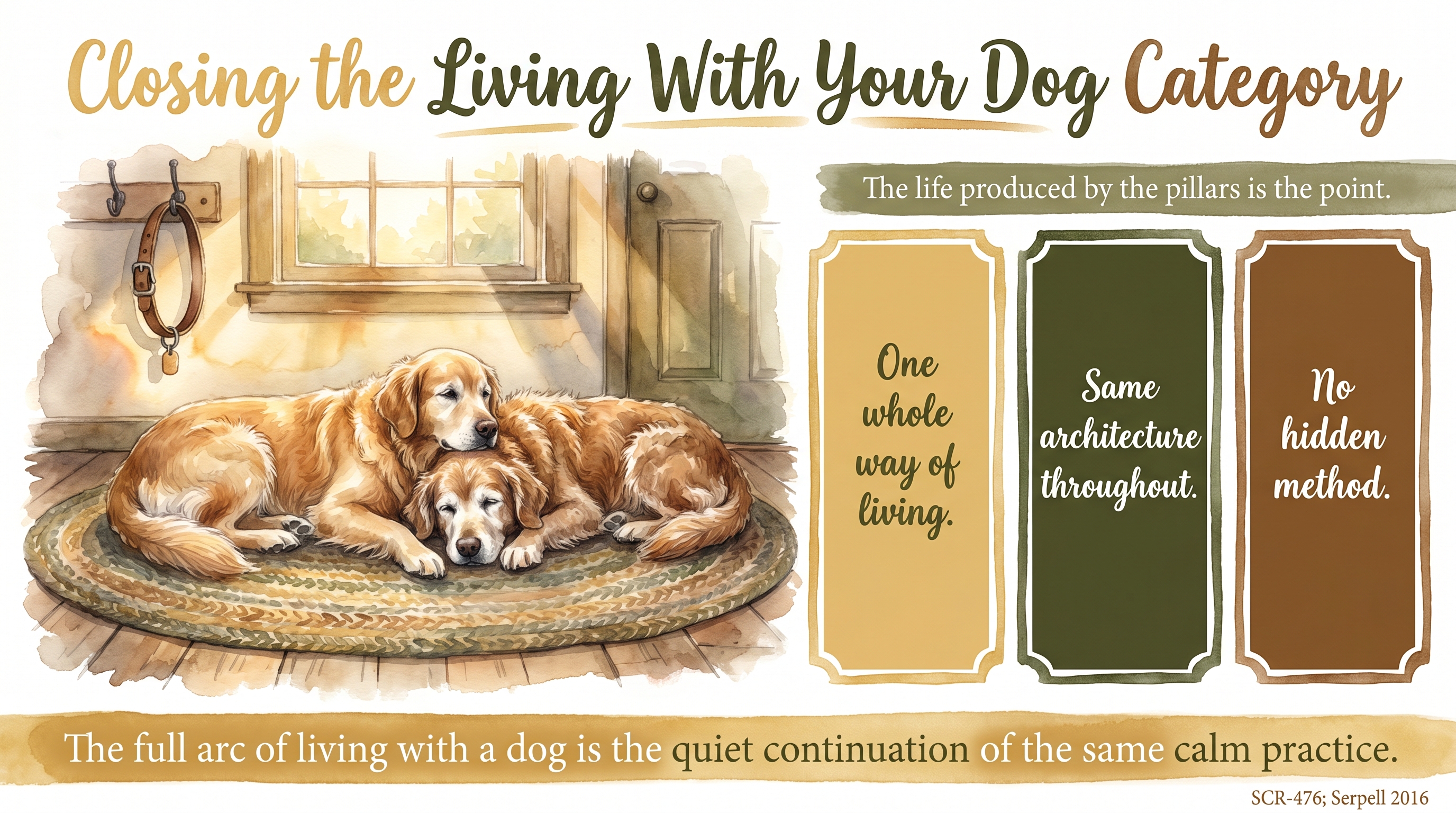 Infographic: Closing the Living With Your Dog Category: The Full Arc - a closing reflection - Just Behaving Wiki