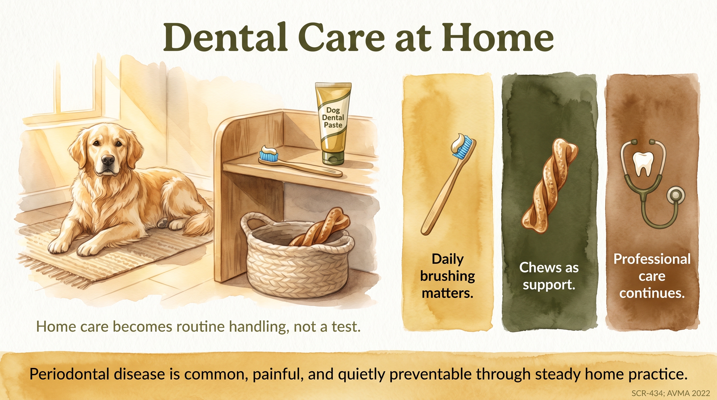 Infographic: Dental Care at Home - why daily or near-daily home dental care matters - Just Behaving Wiki