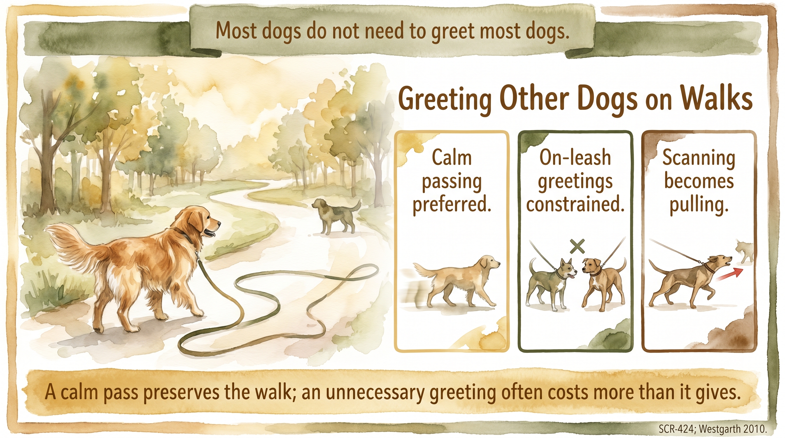 Infographic: Greeting Other Dogs on Walks - why JB does not assume dogs need frequent on-leash - Just Behaving Wiki
