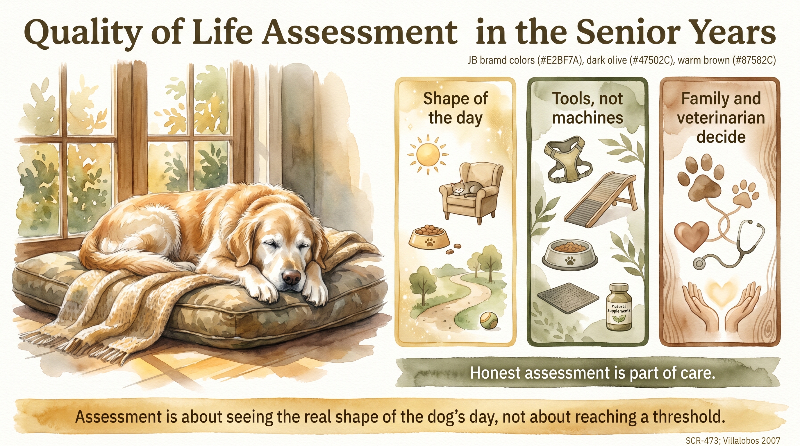 Infographic: Quality of Life Assessment in the Senior Years - how families and veterinarians can think - Just Behaving Wiki