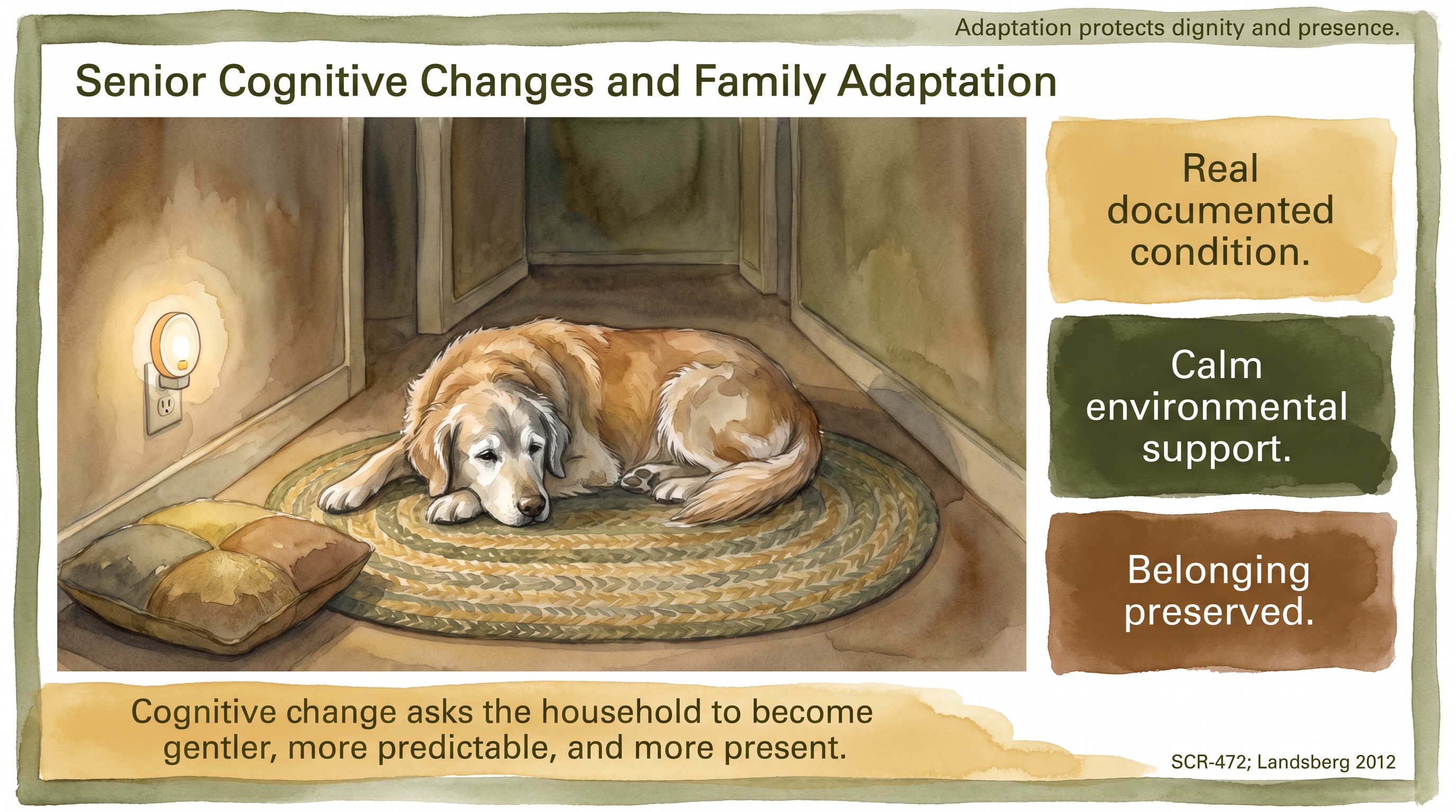 Infographic: Senior Cognitive Changes and Family Adaptation - how to recognize canine cognitive change - Just Behaving Wiki