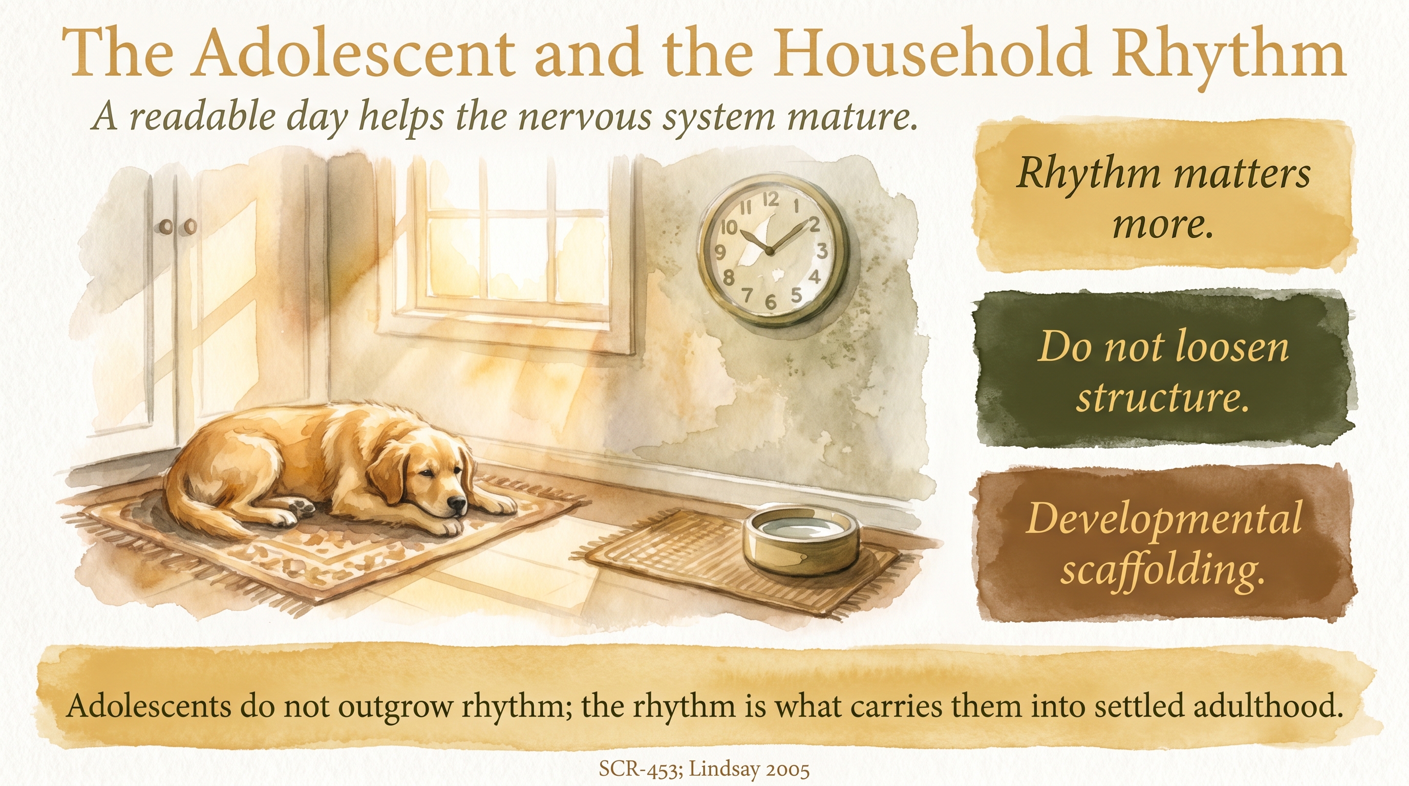 Infographic: The Adolescent and the Household Rhythm - why the household rhythm matters even more - Just Behaving Wiki