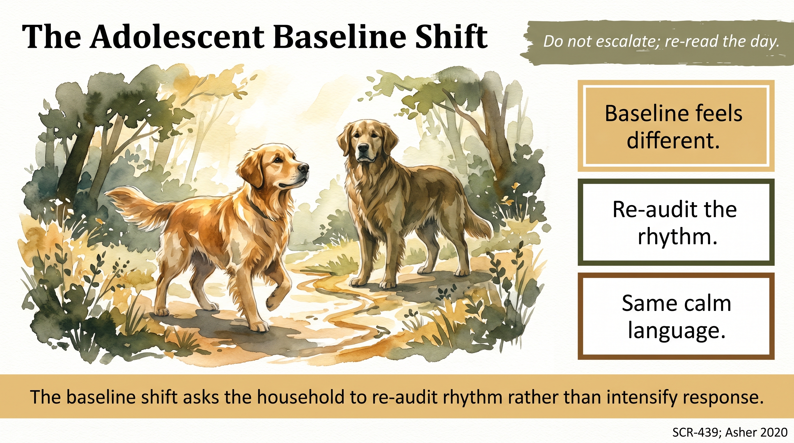 Infographic: The Adolescent Baseline Shift - why adolescent dogs feel different day to day - Just Behaving Wiki