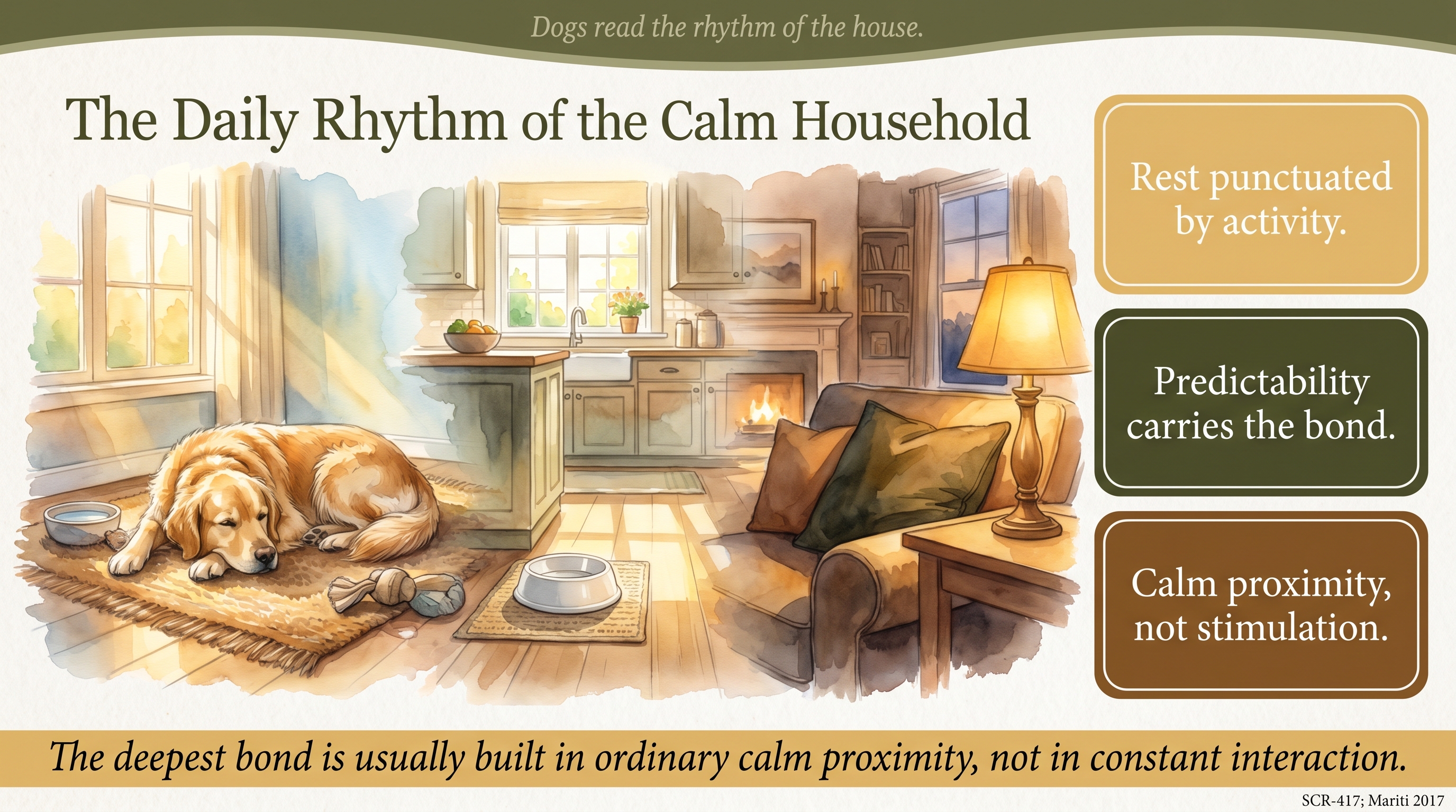 Infographic: The Daily Rhythm of the Calm Household - what daily life looks like in a calm home - Just Behaving Wiki