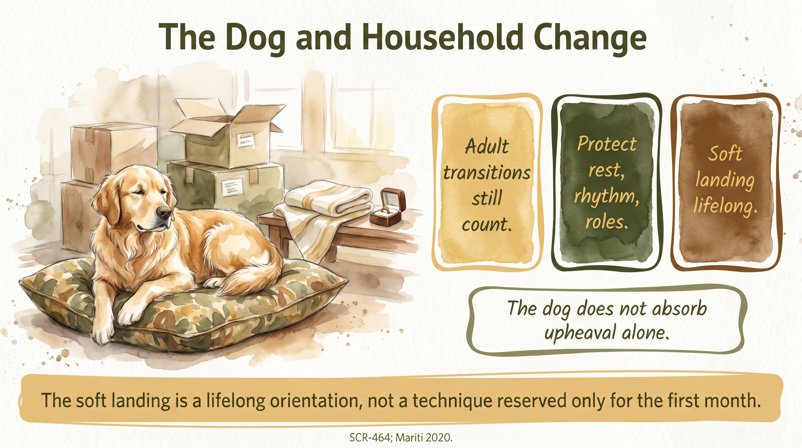 Infographic: The Dog and Household Change: Moves, Marriages, Babies - how to carry a Golden Retriever - Just Behaving Wiki
