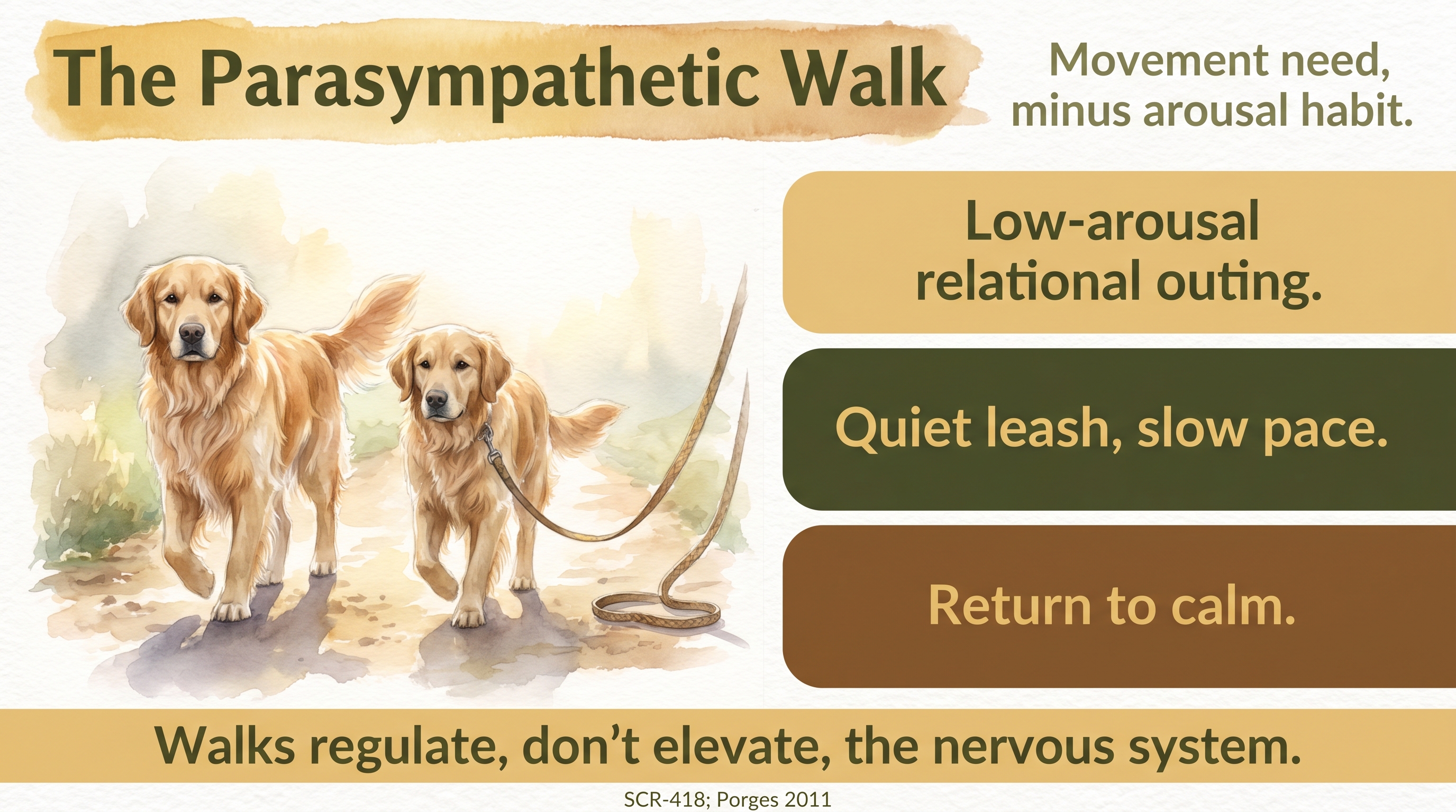 Infographic: The Parasympathetic Walk - why JB treats the walk as a calm relational practice - Just Behaving Wiki