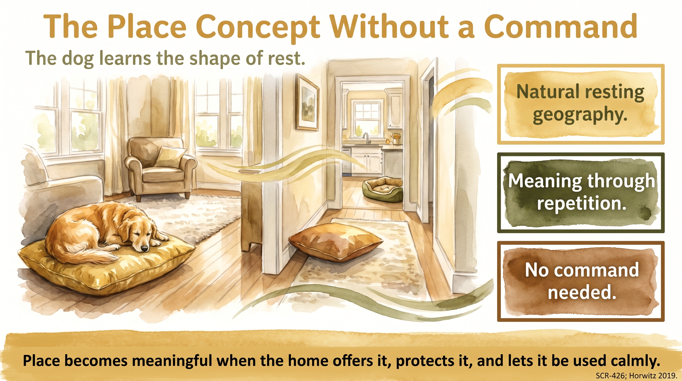 Infographic: The Place Concept Without a Command - how JB builds room-by-room resting places - Just Behaving Wiki