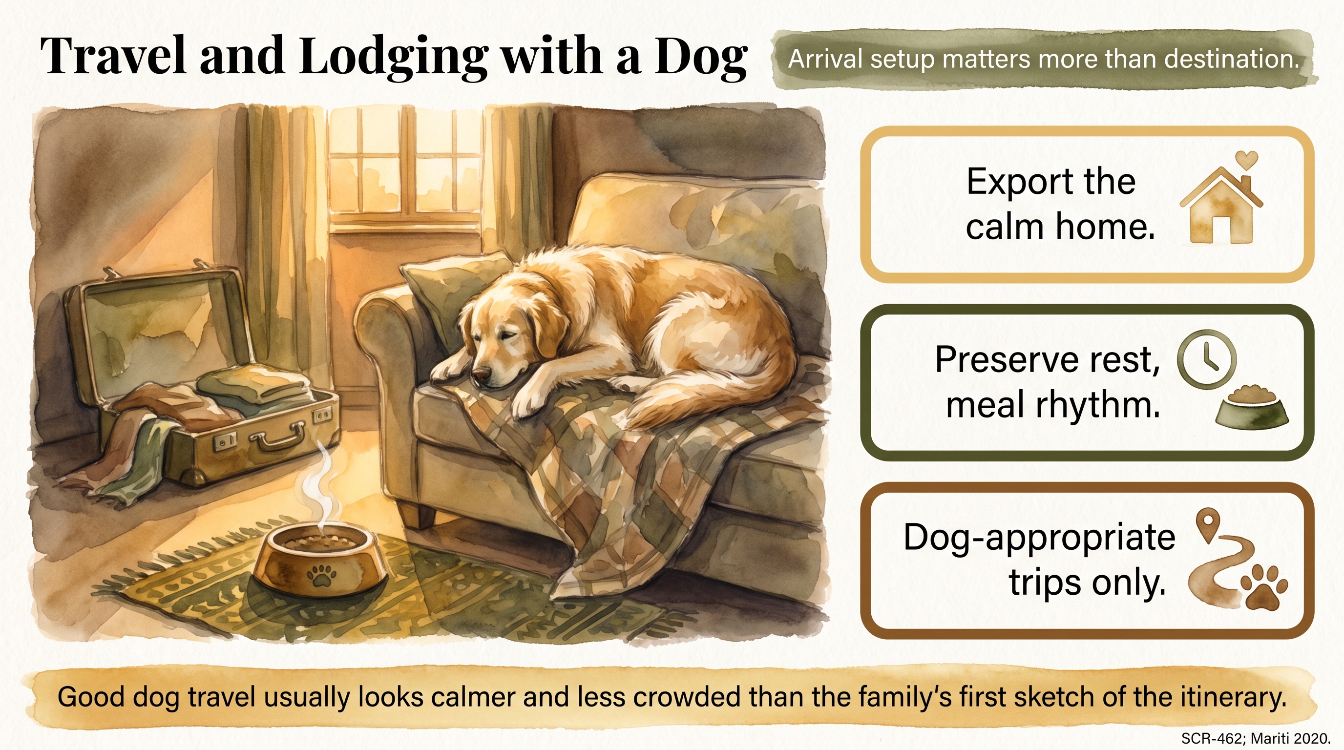 Infographic: Travel and Lodging with a Dog - how to travel with a Golden Retriever without losing - Just Behaving Wiki