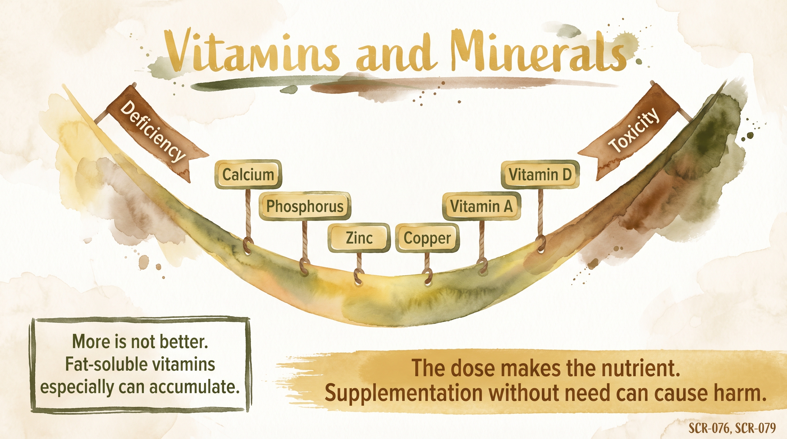 Infographic: Vitamin and mineral requirements showing U-shaped curve with deficiency adequacy and toxicity zones - Just Behaving Wiki