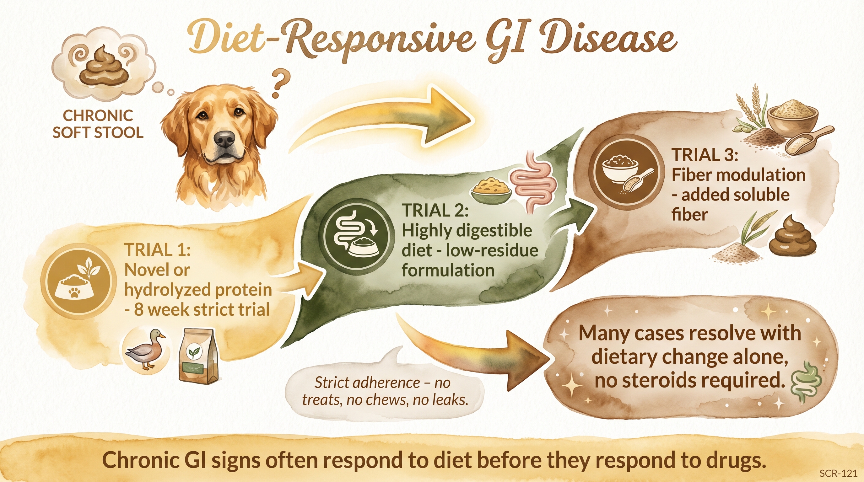 Infographic: Diet-responsive GI disease showing three diagnostic dietary trials for chronic soft stool - Just Behaving Wiki