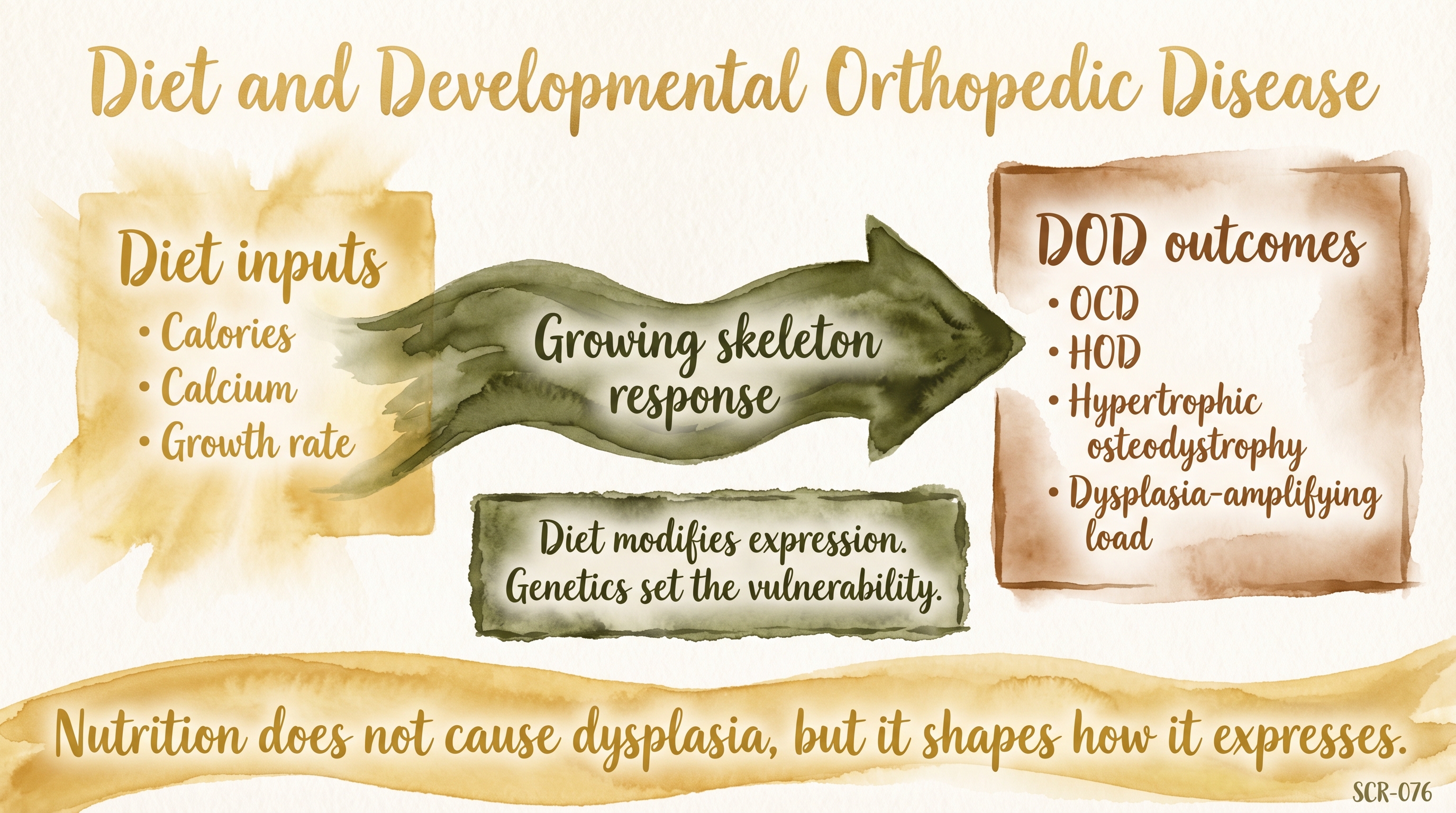 Infographic: DOD as a diet-disease association showing causal arrow from diet inputs through skeletal response to outcomes - Just Behaving Wiki