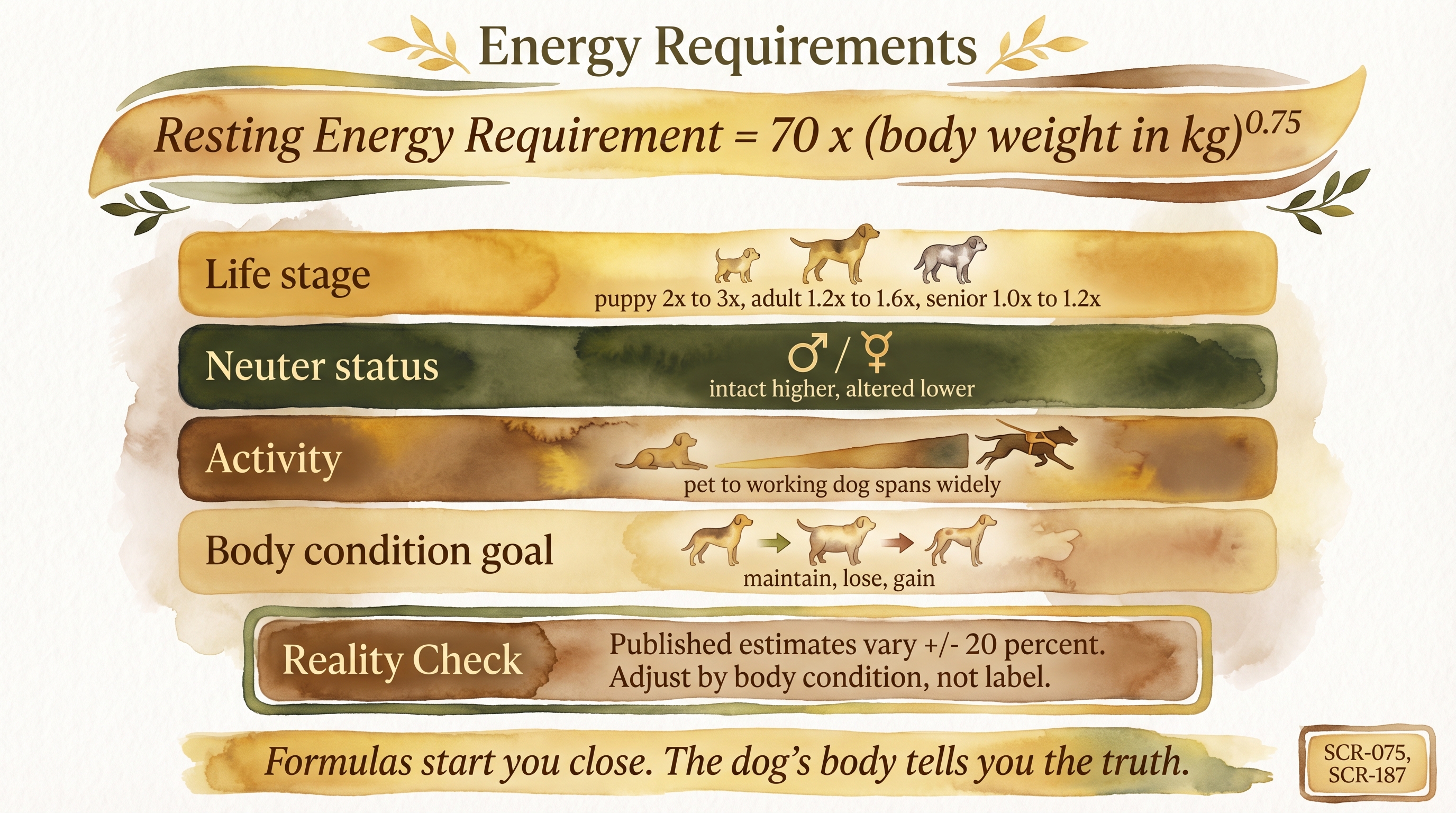 Infographic: Energy requirements showing RER formula with life stage neuter activity and body condition multipliers - Just Behaving Wiki