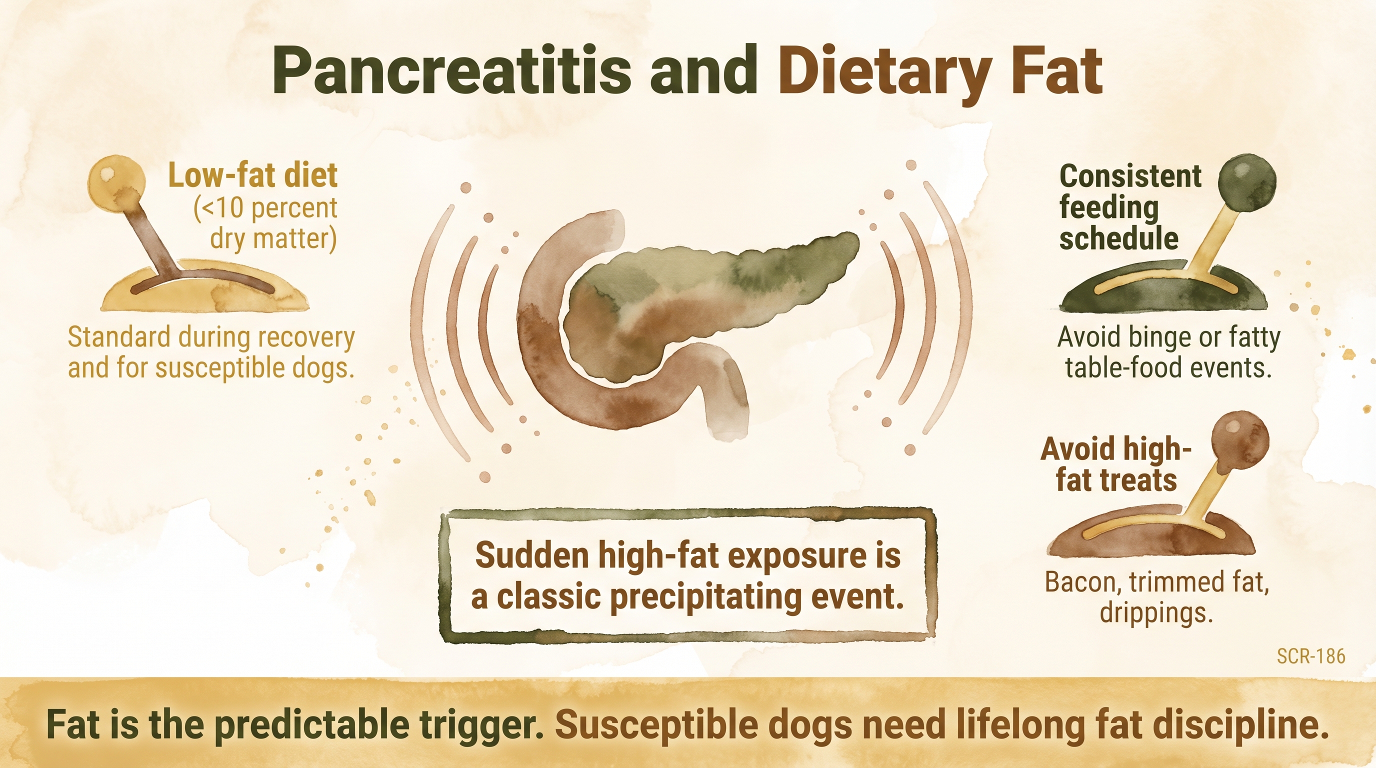 Infographic: Pancreatitis and dietary fat showing three dietary levers to reduce triggering and recurrence - Just Behaving Wiki