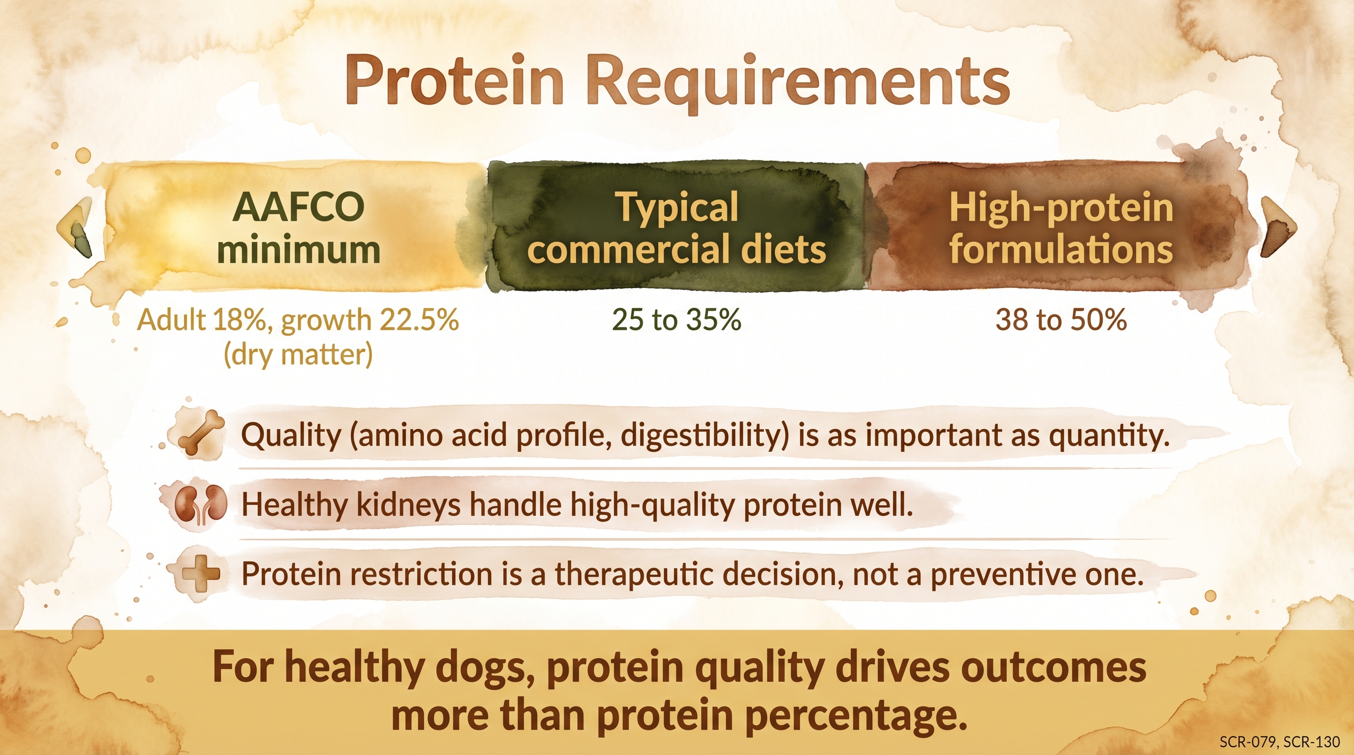 Infographic: Protein requirements in dogs showing dry-matter range from AAFCO minimum through high-protein formulations - Just Behaving Wiki