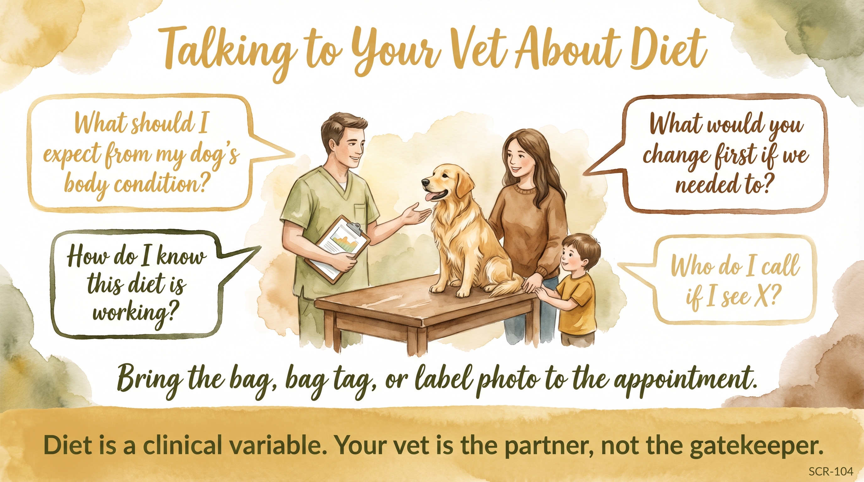 Infographic: Talking to your vet about diet showing four conversation prompts for the exam room - Just Behaving Wiki
