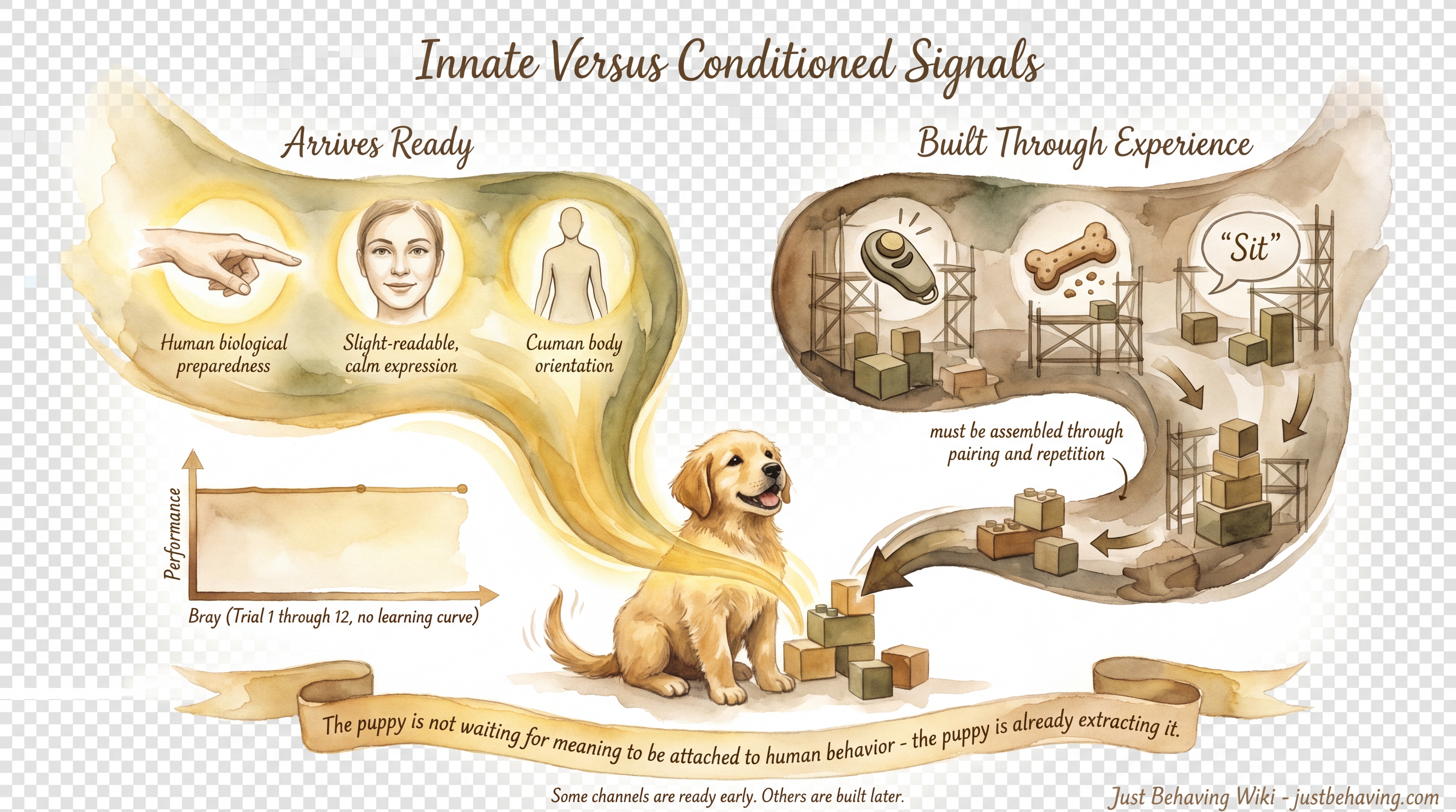 Infographic: Innate Versus Conditioned Signals - The difference between signals dogs are born understanding and those that must be trained from scratch - Just Behaving Wiki