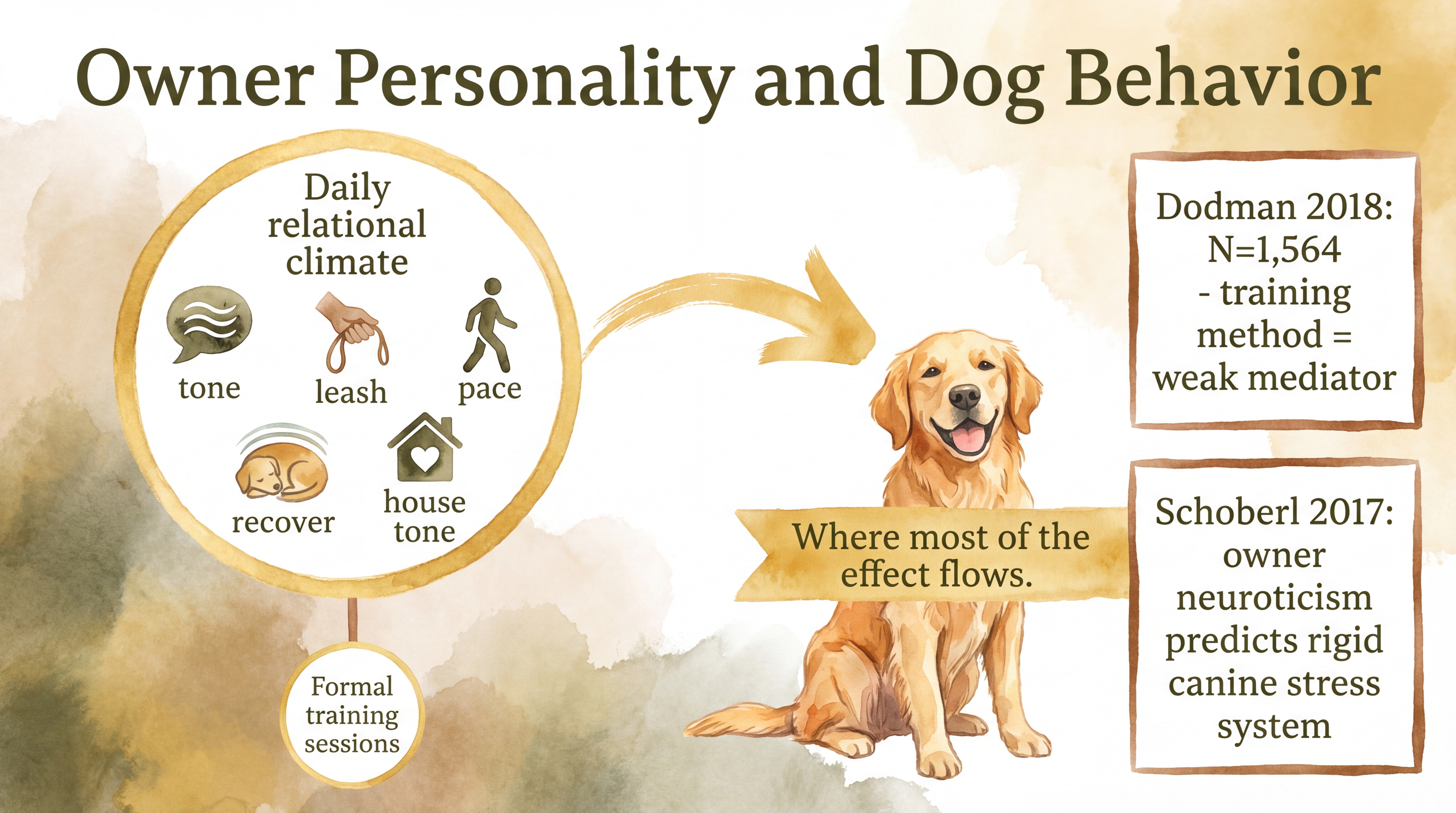 Infographic: Owner Personality and Dog Behavior - Research linking owner personality traits like neuroticism and conscientiousness to canine behavioral outcomes - Just Behaving Wiki